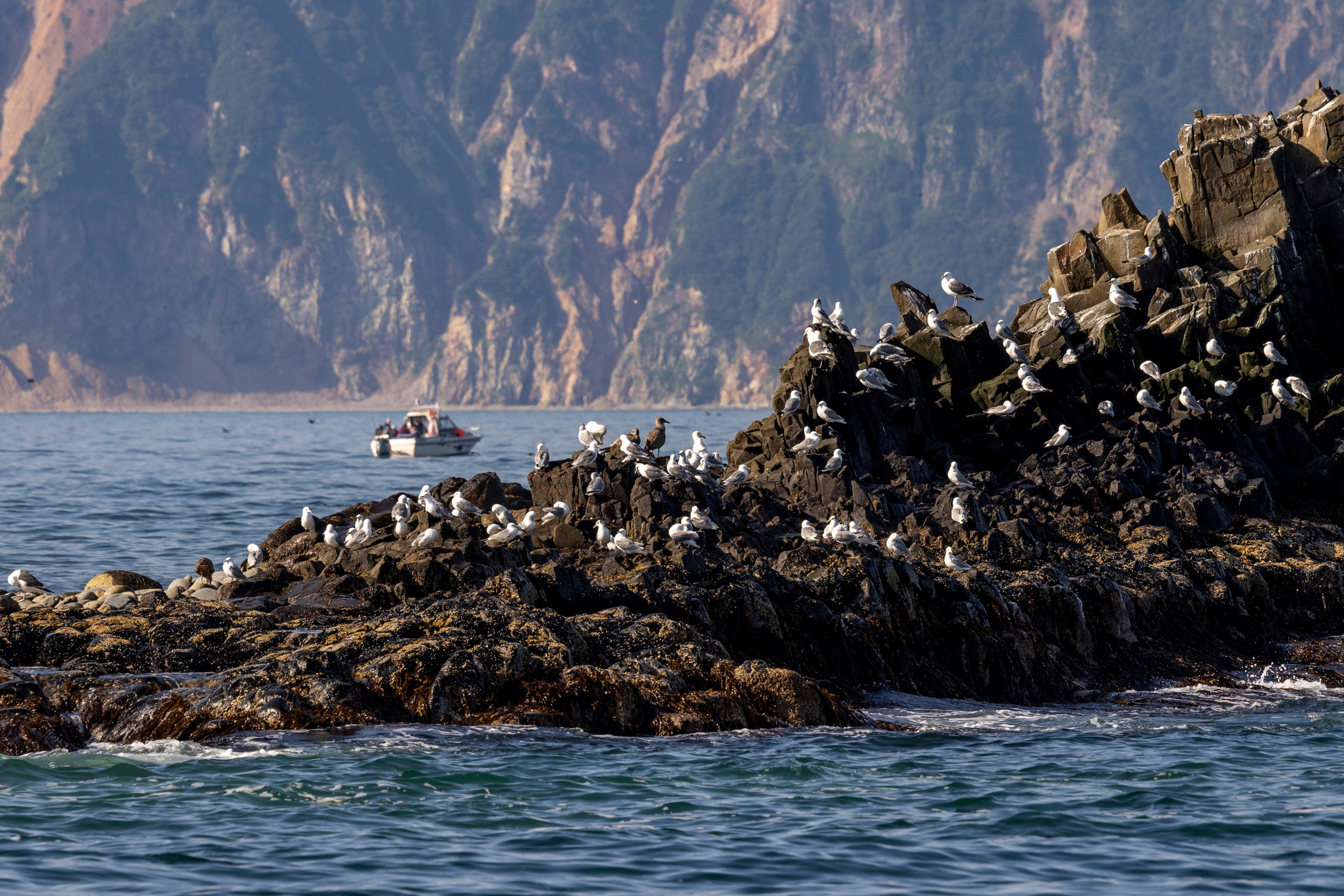 Мыс Зелёный — вулканические скалы и океанские виды. Время Камчатки: чтобы найти свой путь, нужно скорость умножить на время