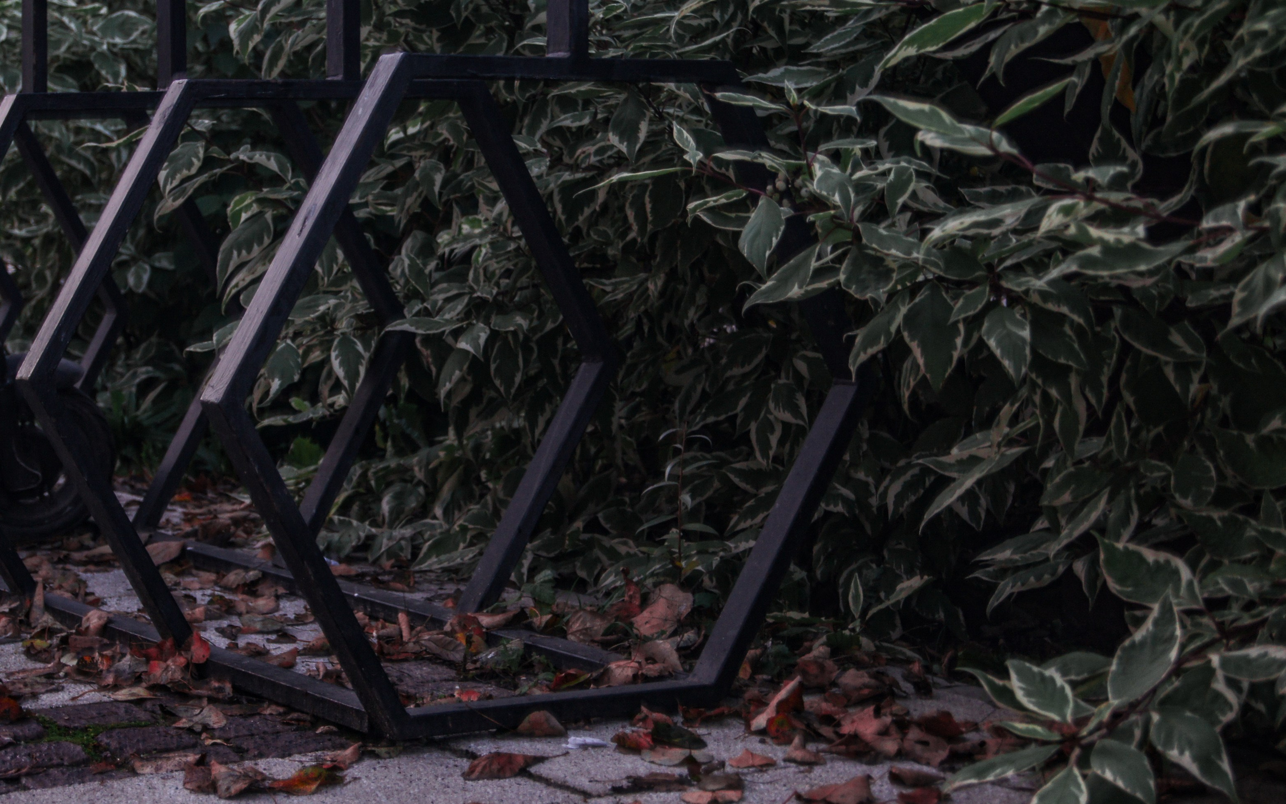 Мир вокруг: мобильная фотография — быстрая композиция. Любовь Каширская — фотограф для малого бизнеса и специалистов