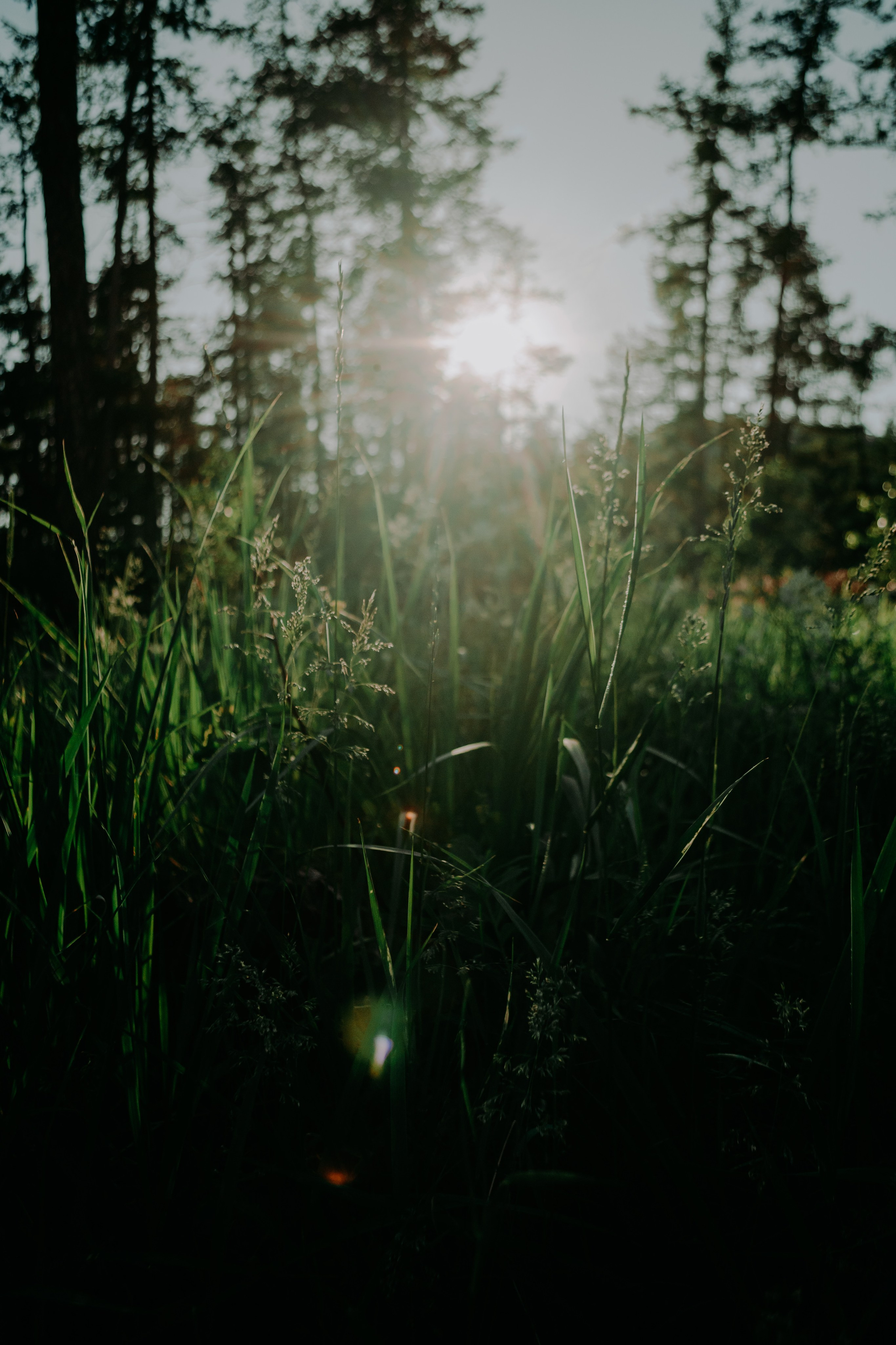 Кусто. Фотограф Настя | Экспедиции и лайфстайл