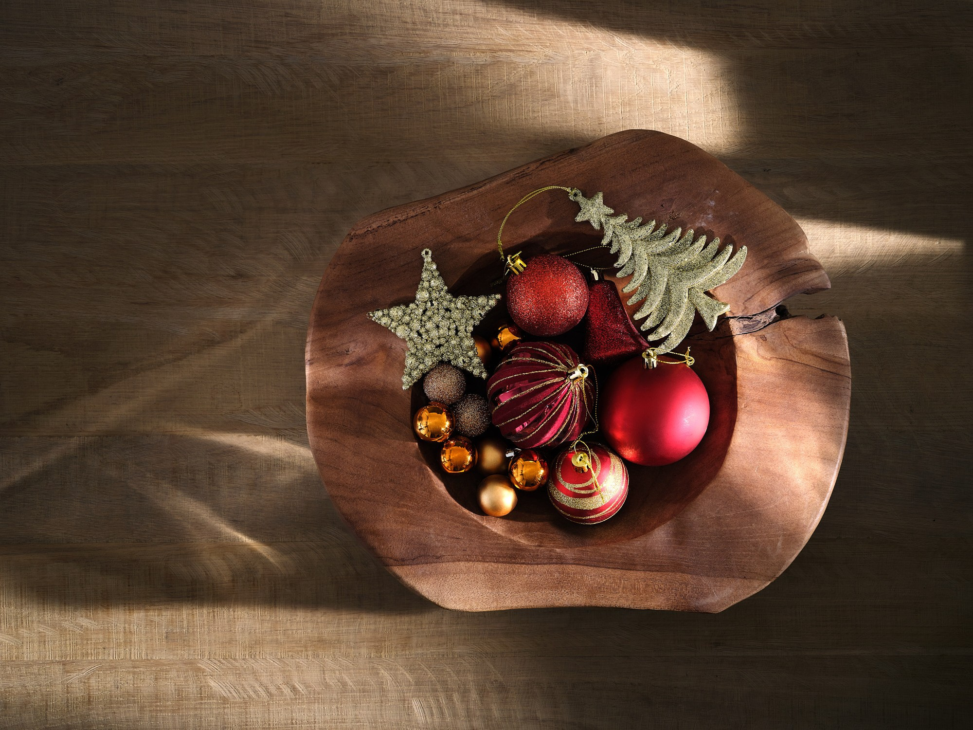 Ботанический Сад