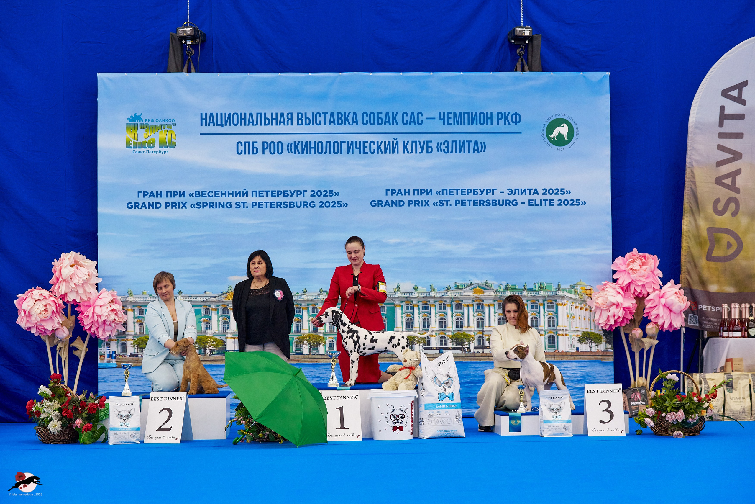ГРАН ПРИ «ВЕСЕННИЙ ПЕТЕРБУРГ» & «СУПЕР КУБОК «ЭЛИТЫ»-2025»