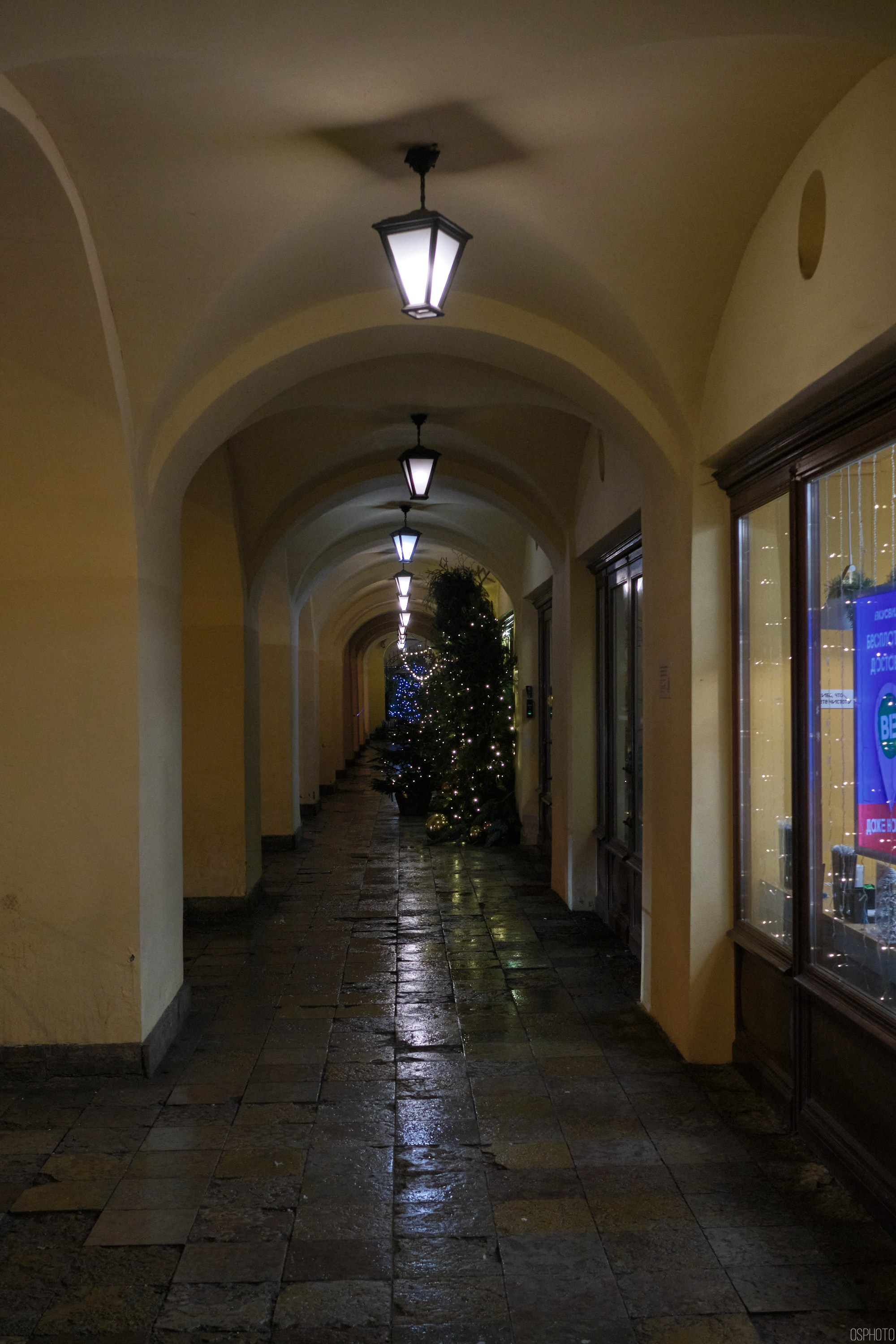 Снег и туман в Санкт-Петербурге. Фотографъ Сергѣевъ. Поймать мгновеніе