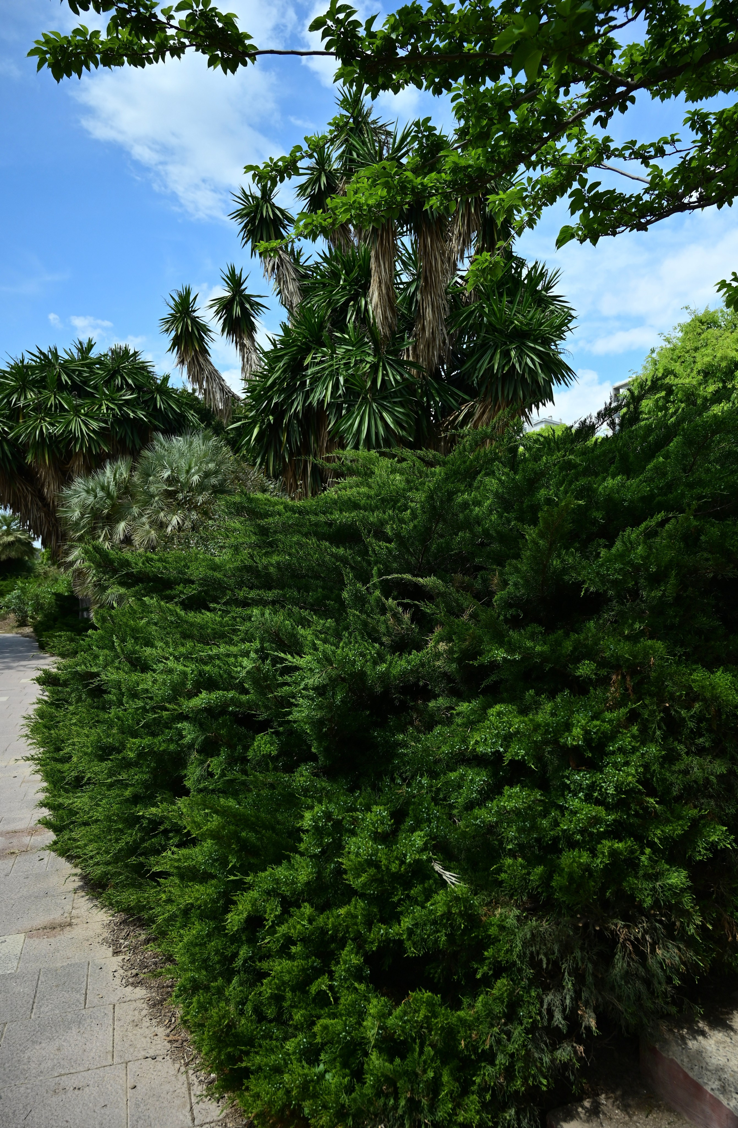 Парки Валенсии. Гид и фотограф в Валенсии Новиков Михаил