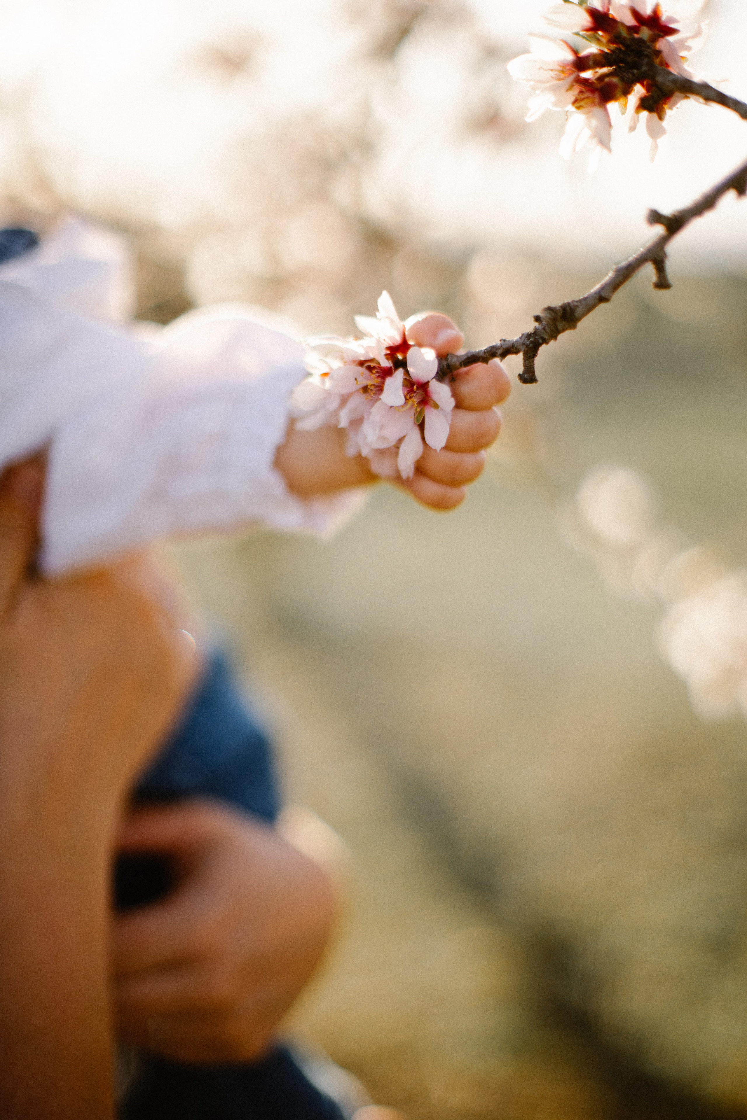 Фотограф Уфа / новорожденные, беременность, семейная фотосессия, фотосессия 1 годик, свадьба