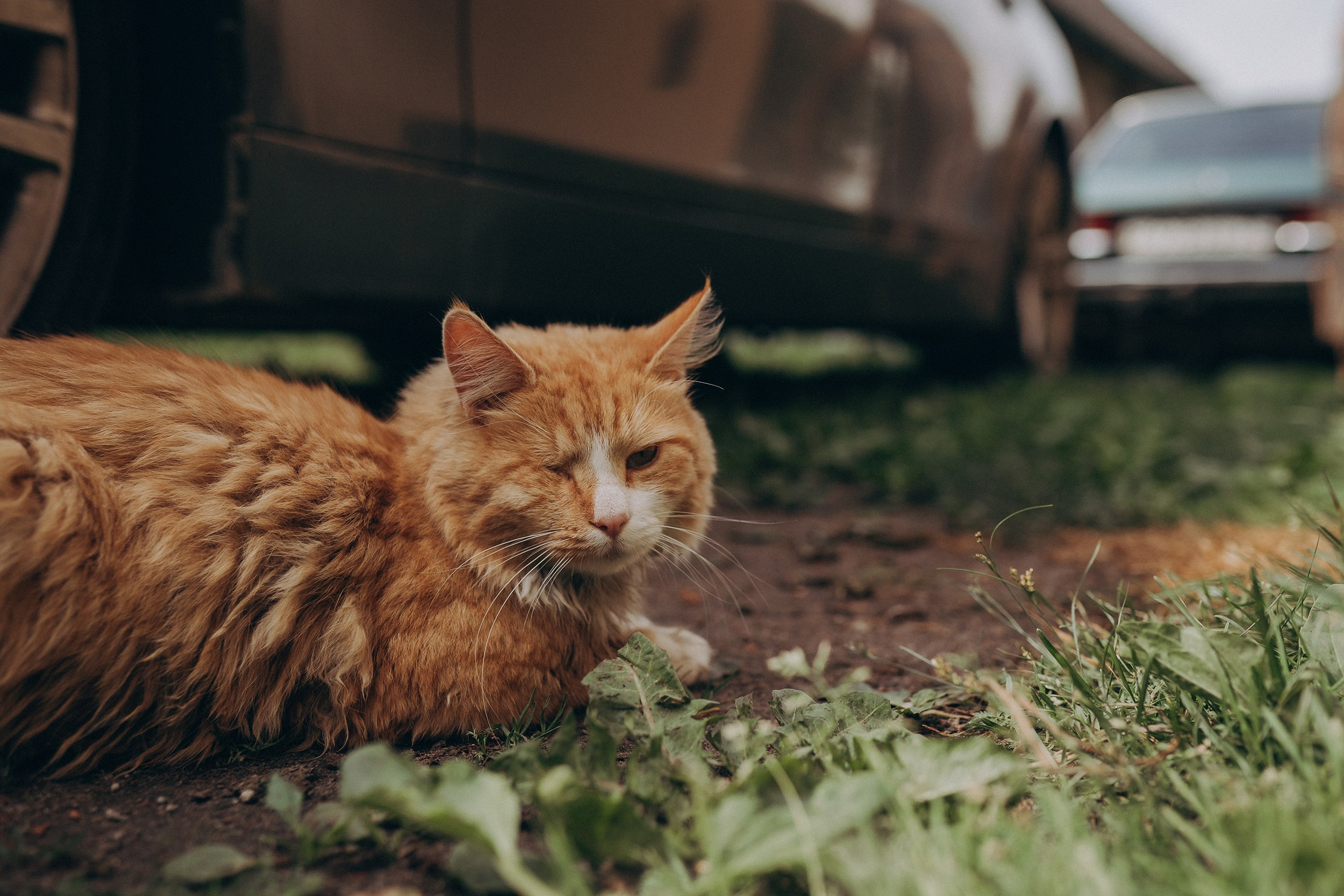 Поколения. Детский и семейный фотограф — Калининград — Юля Насифуллина