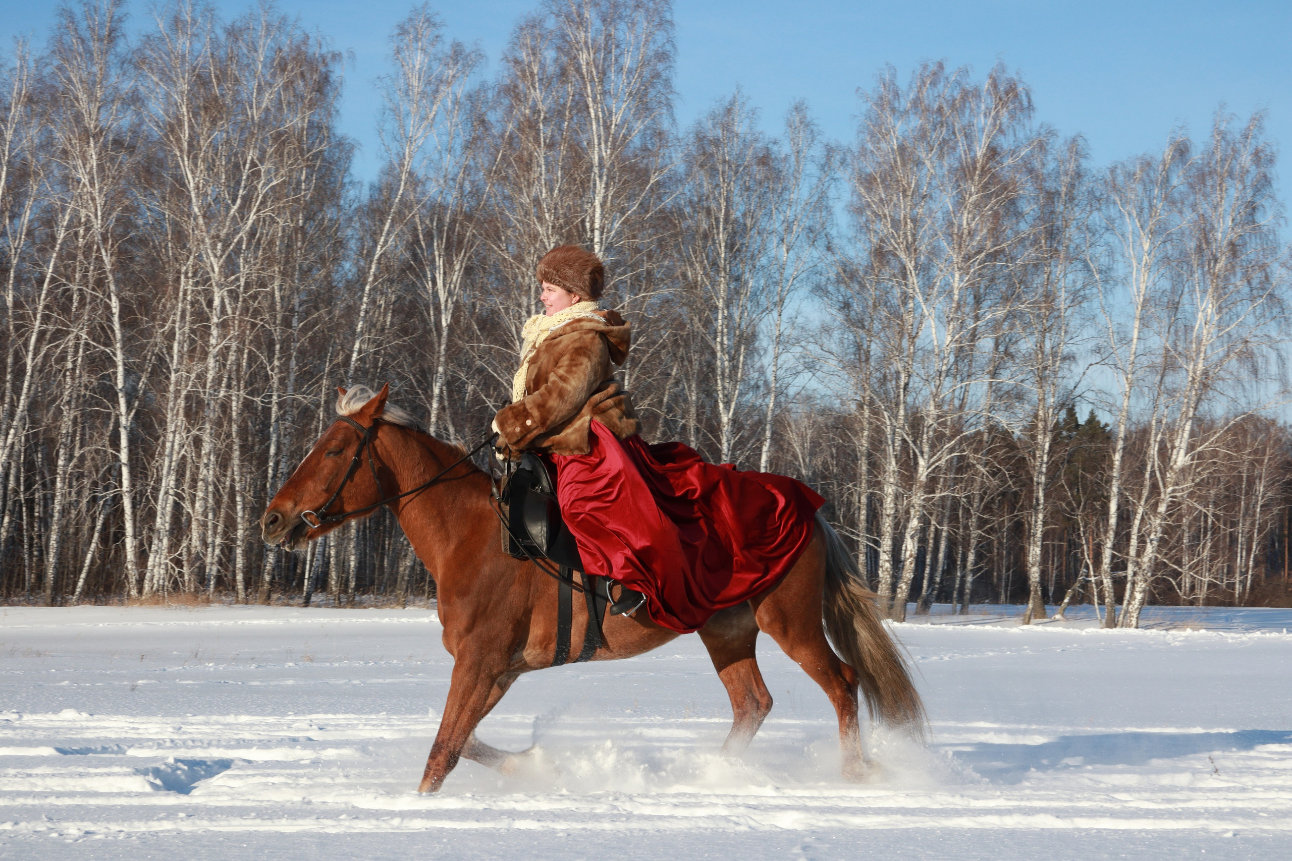Зимняя конная охота. Фотохудожник Светлана Финадеева. Челябинск