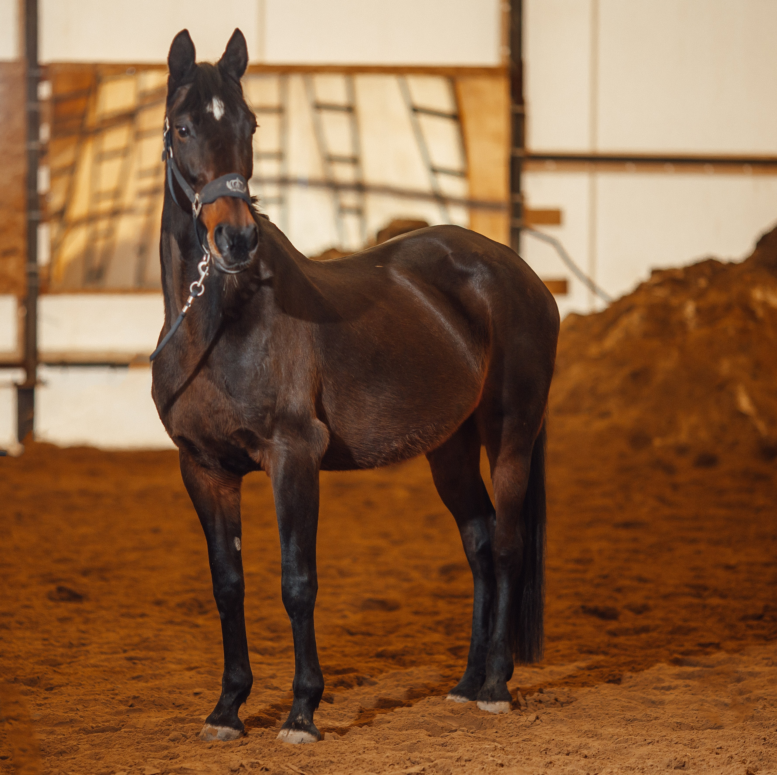 Вилла. Фотограф Варвара Ермоленко