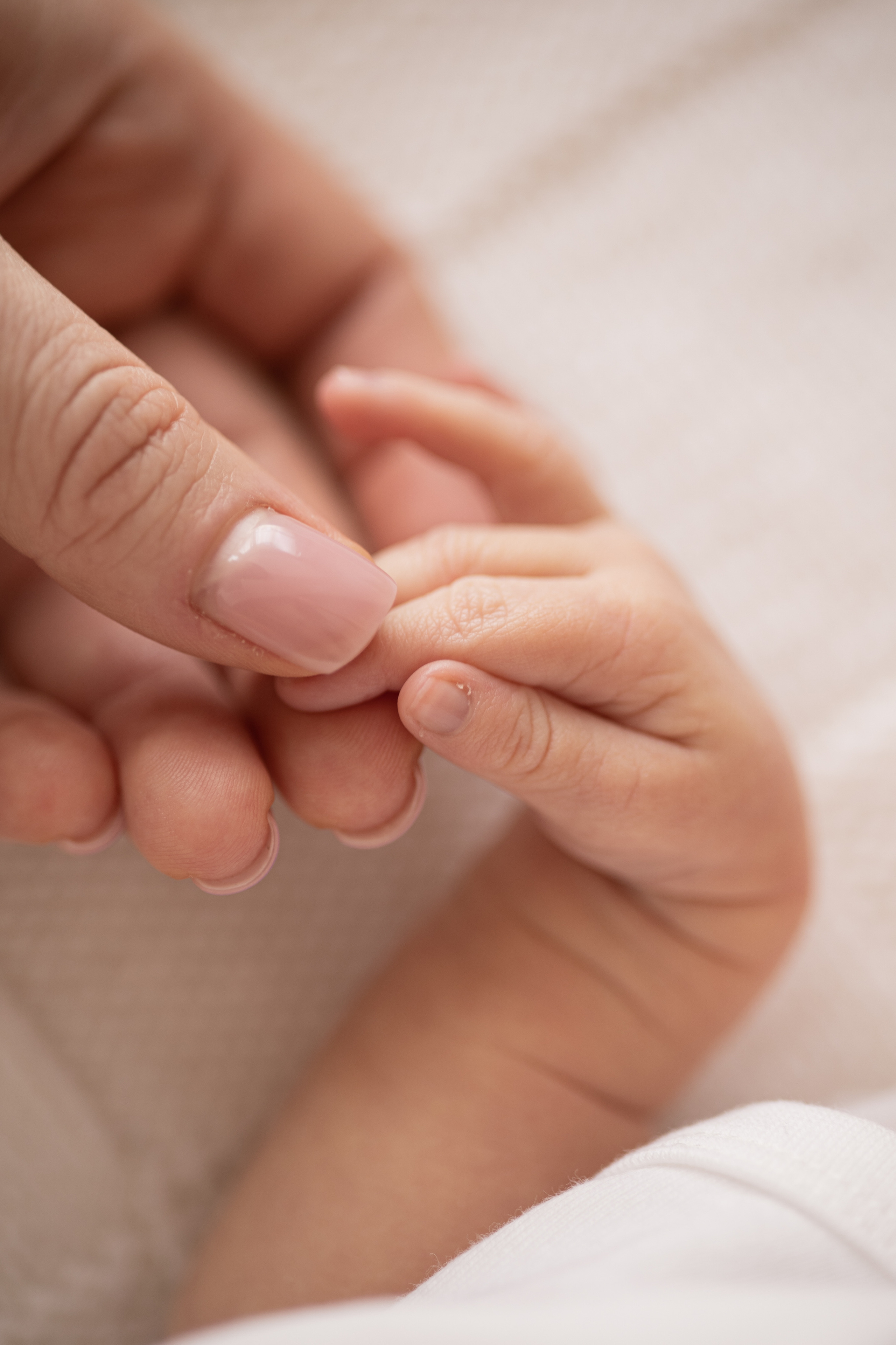 Новорожденные | Newborn. Женский и семейный фотограф Светлана