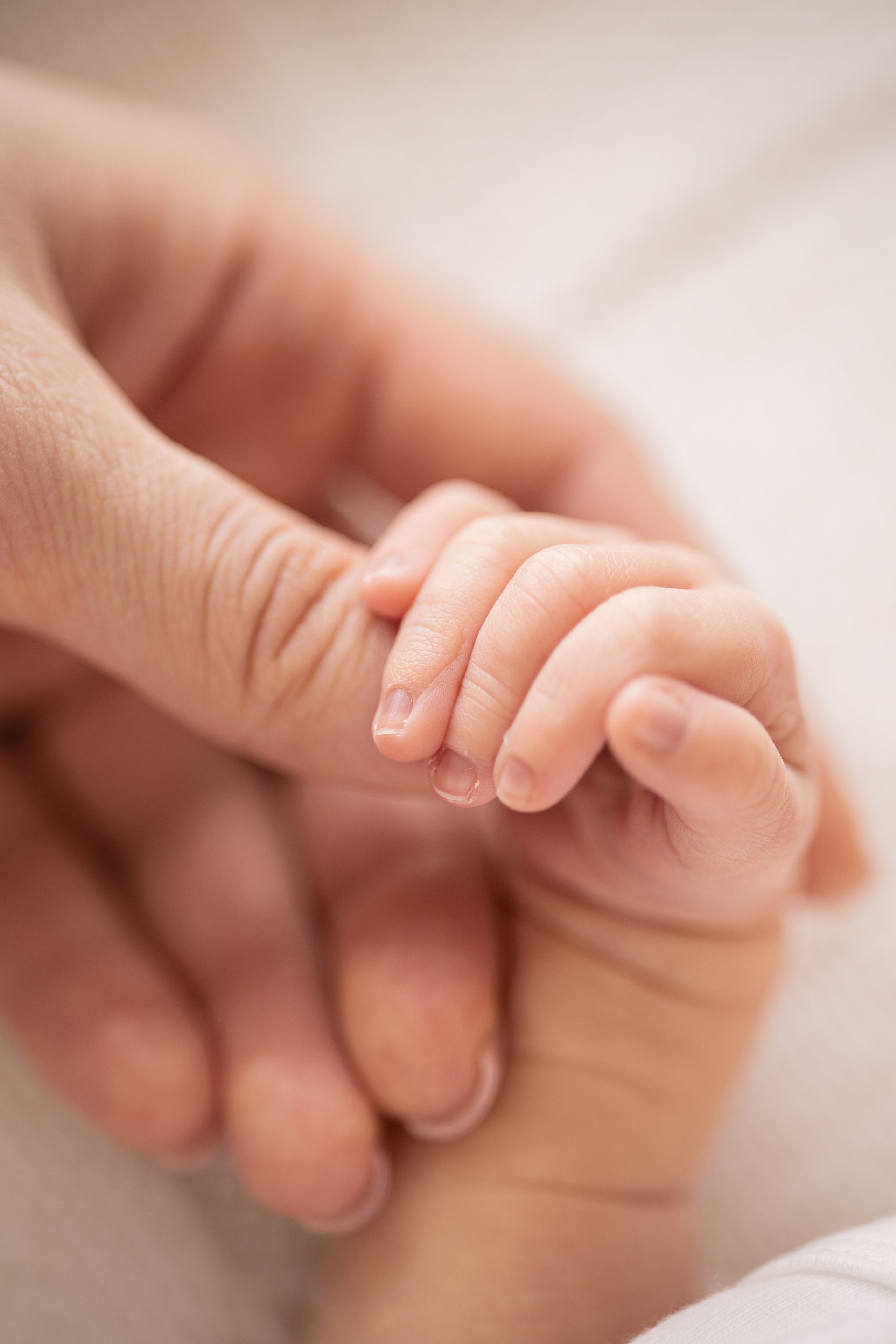 Новорожденные | Newborn. Женский и семейный фотограф Светлана