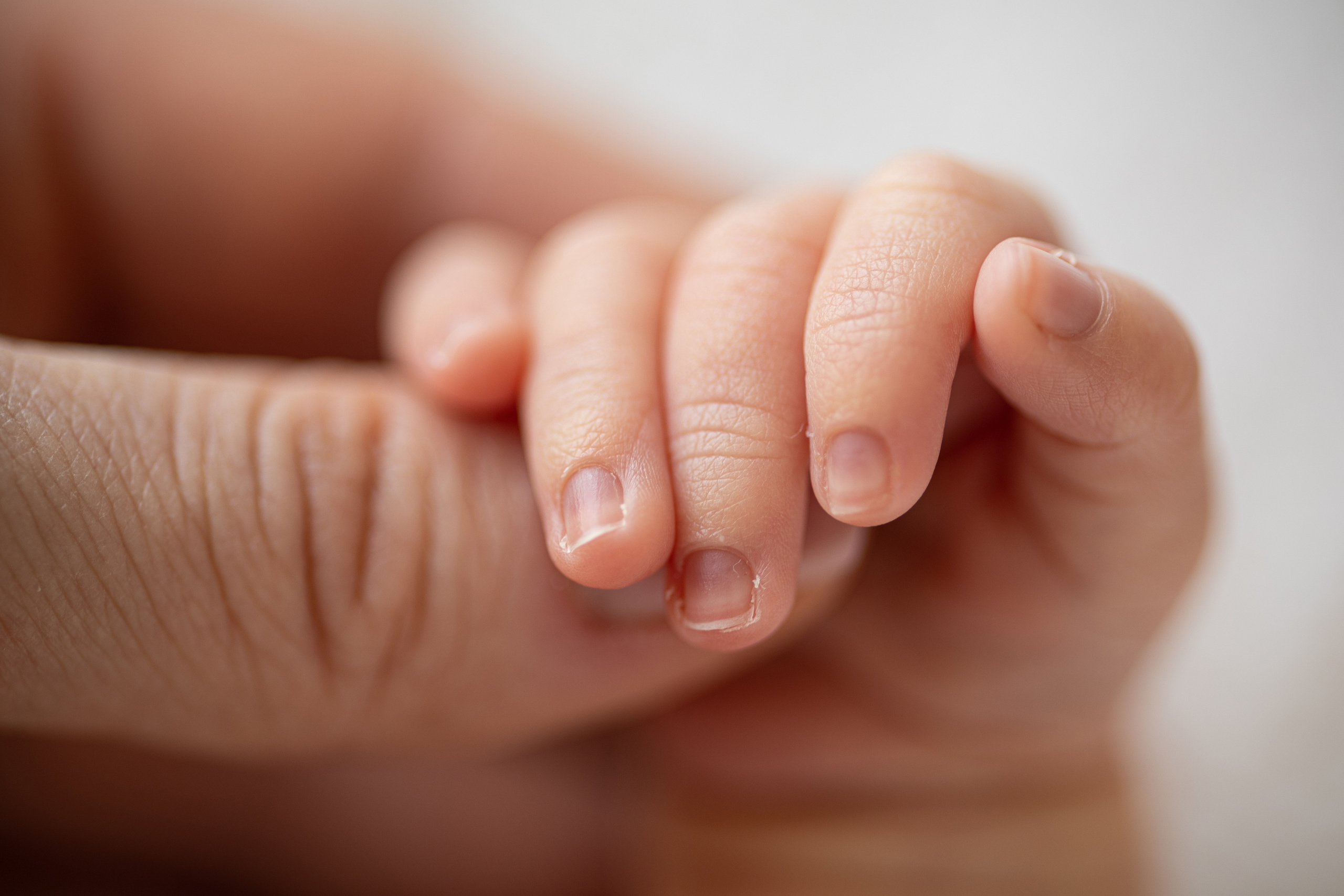 Новорожденные | Newborn. Женский и семейный фотограф Светлана