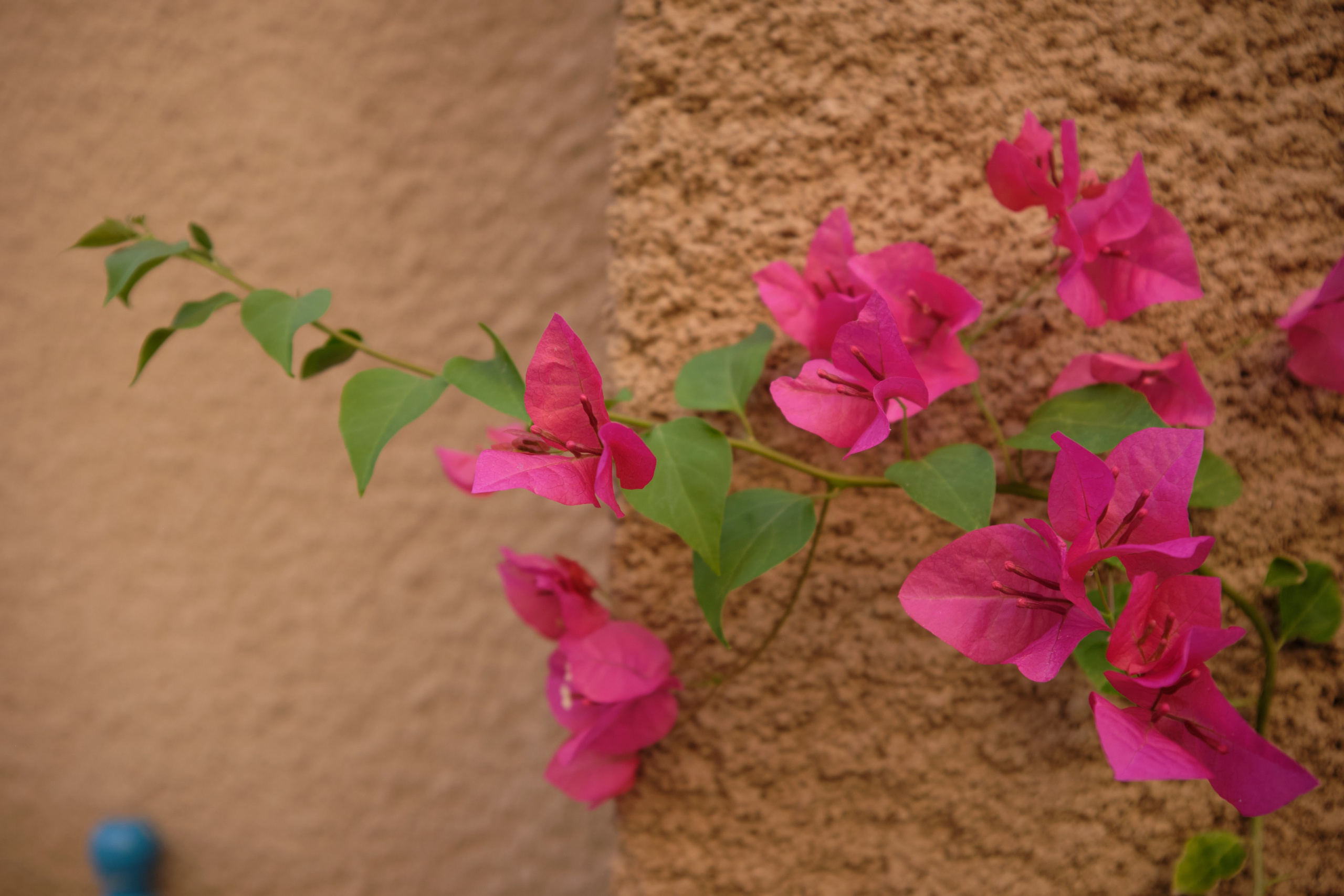 Дубай. Елена Павленко. Фотограф. Москва