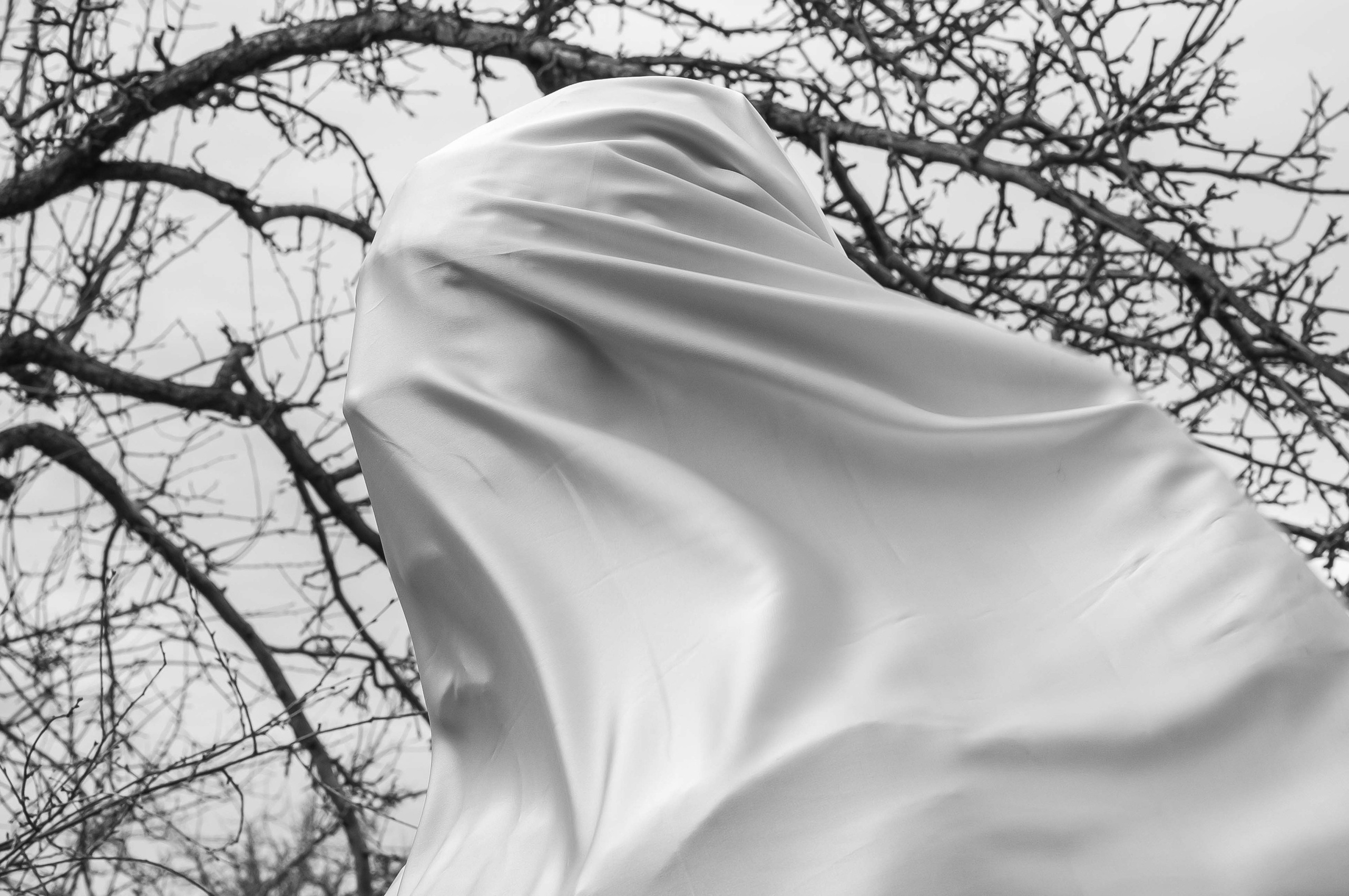 Курс Олега Колимбета: Сторителлинг и создание визуальных нарративов. Самоорганизация Низина