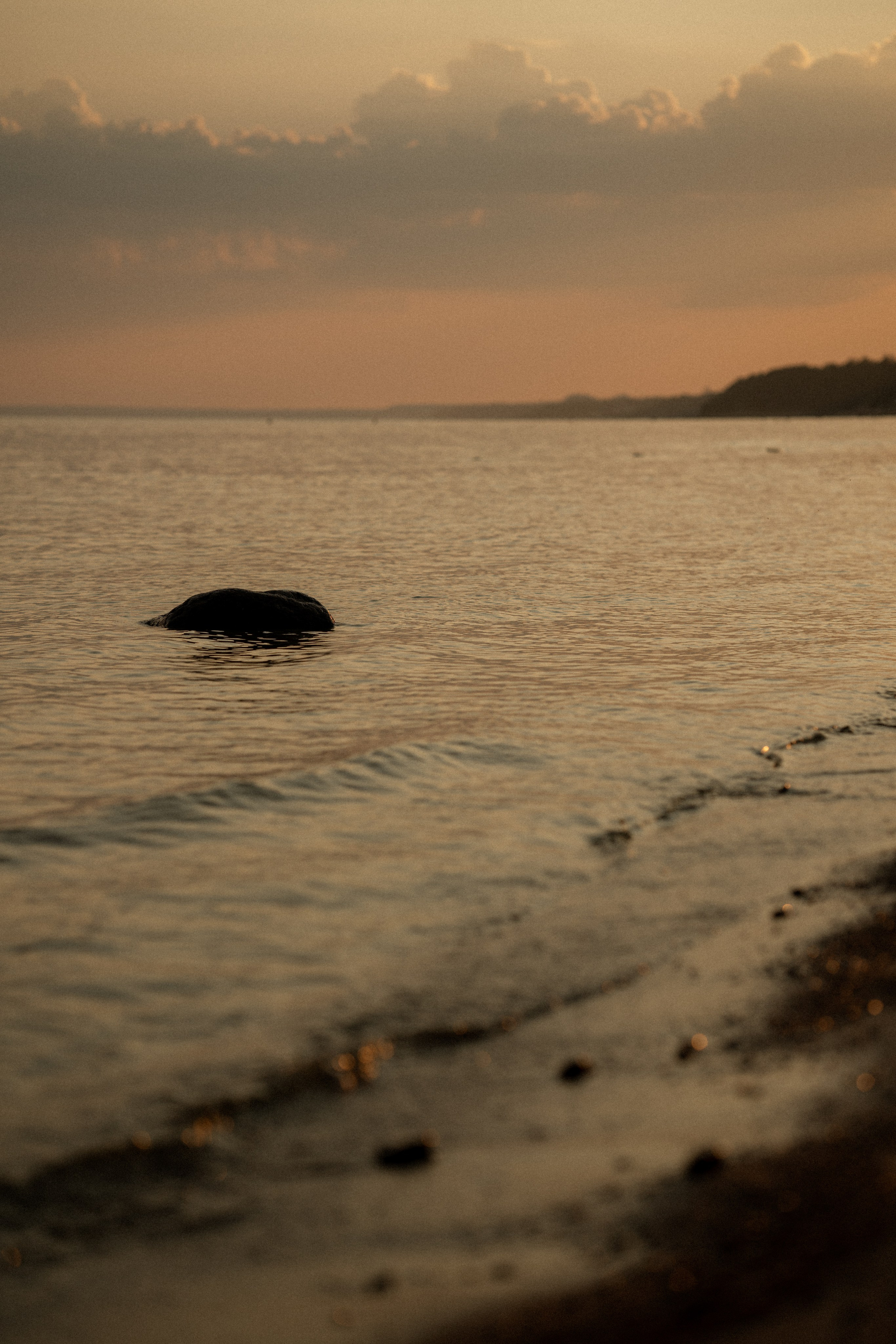 Лера залив. Семейный фотограф в Санкт-Петербурге — Наташа Тарасенко