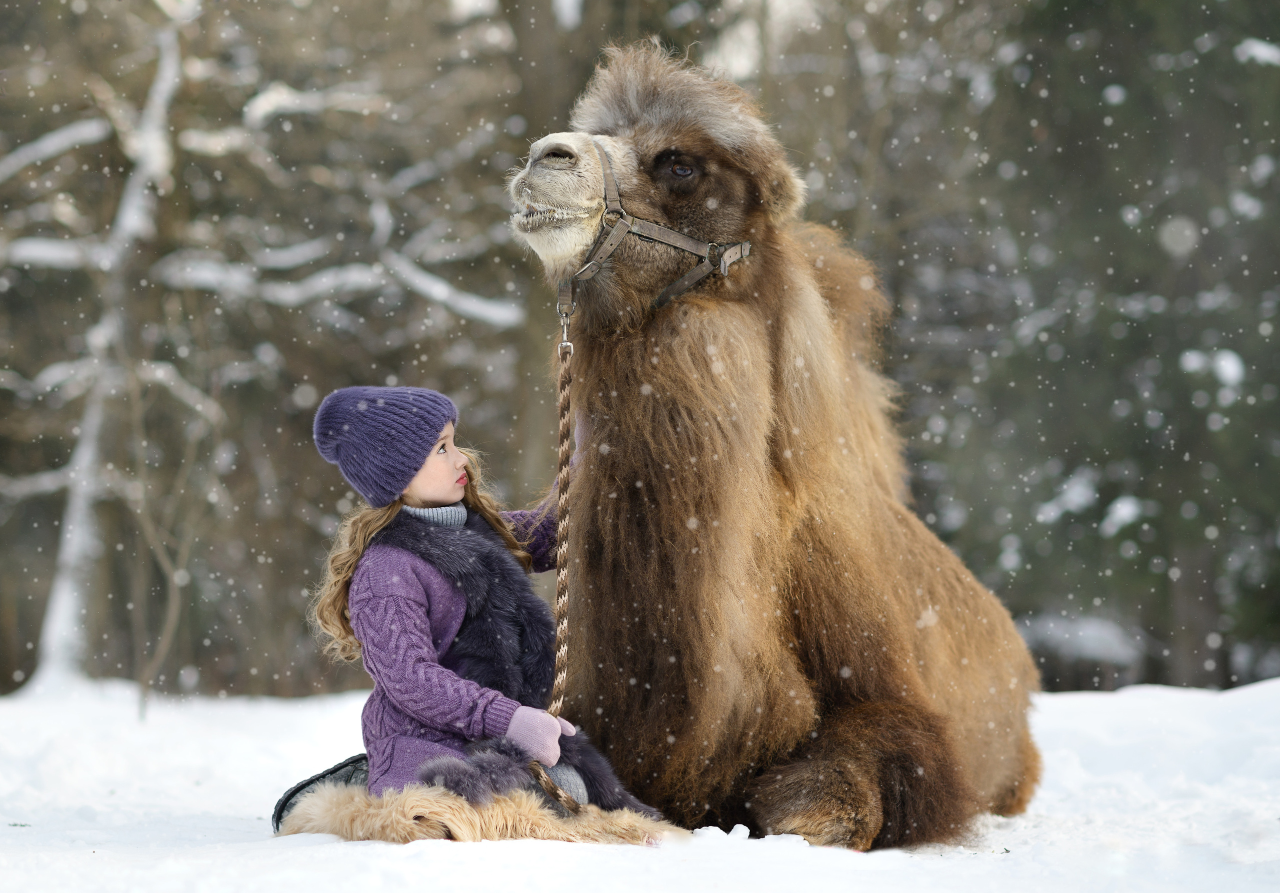 Фотограф во Владимире Ирина Курицына