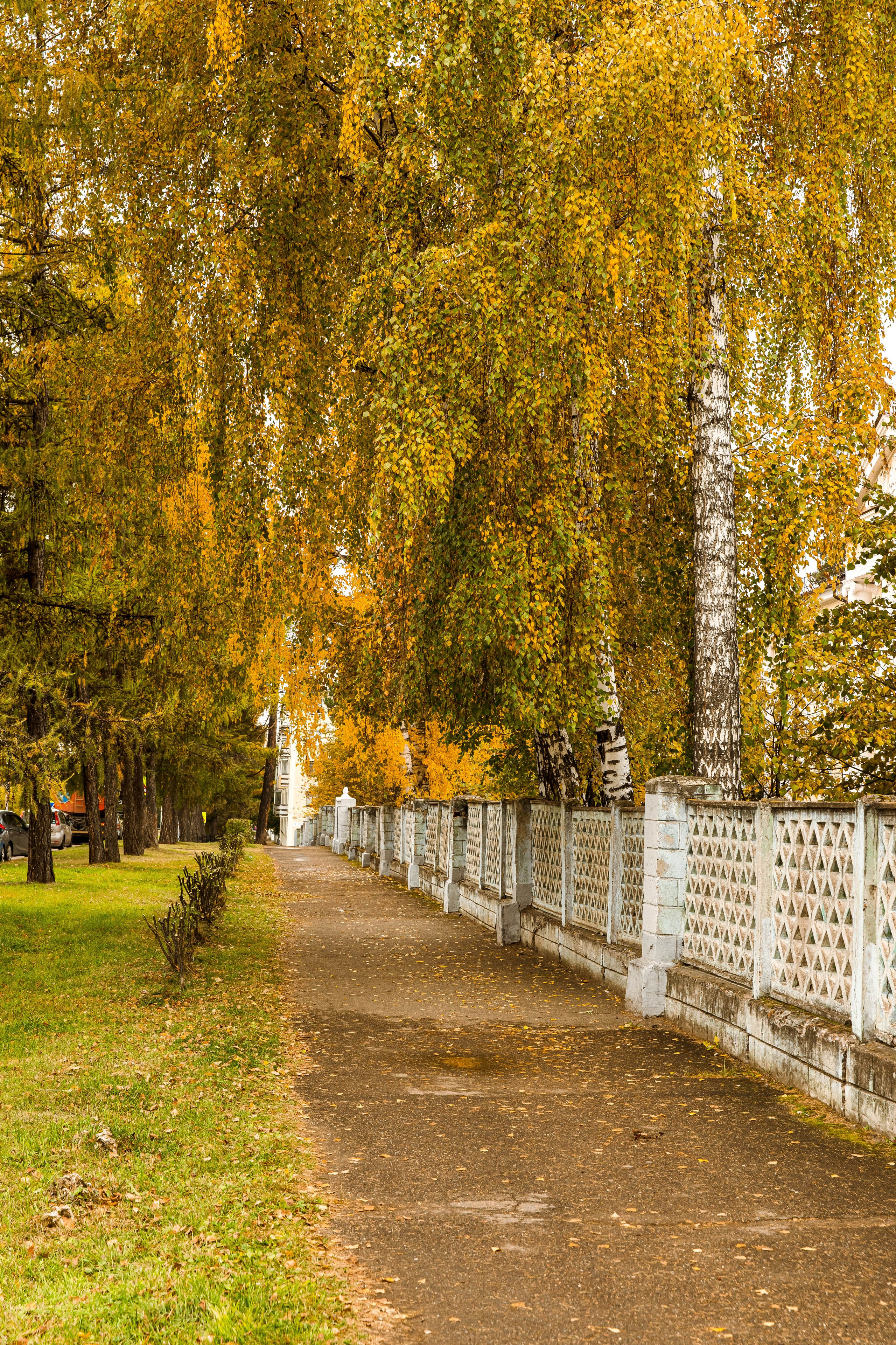Осень в парке. Семейный и детский фотограф в Железногорске Саламахо Ольга