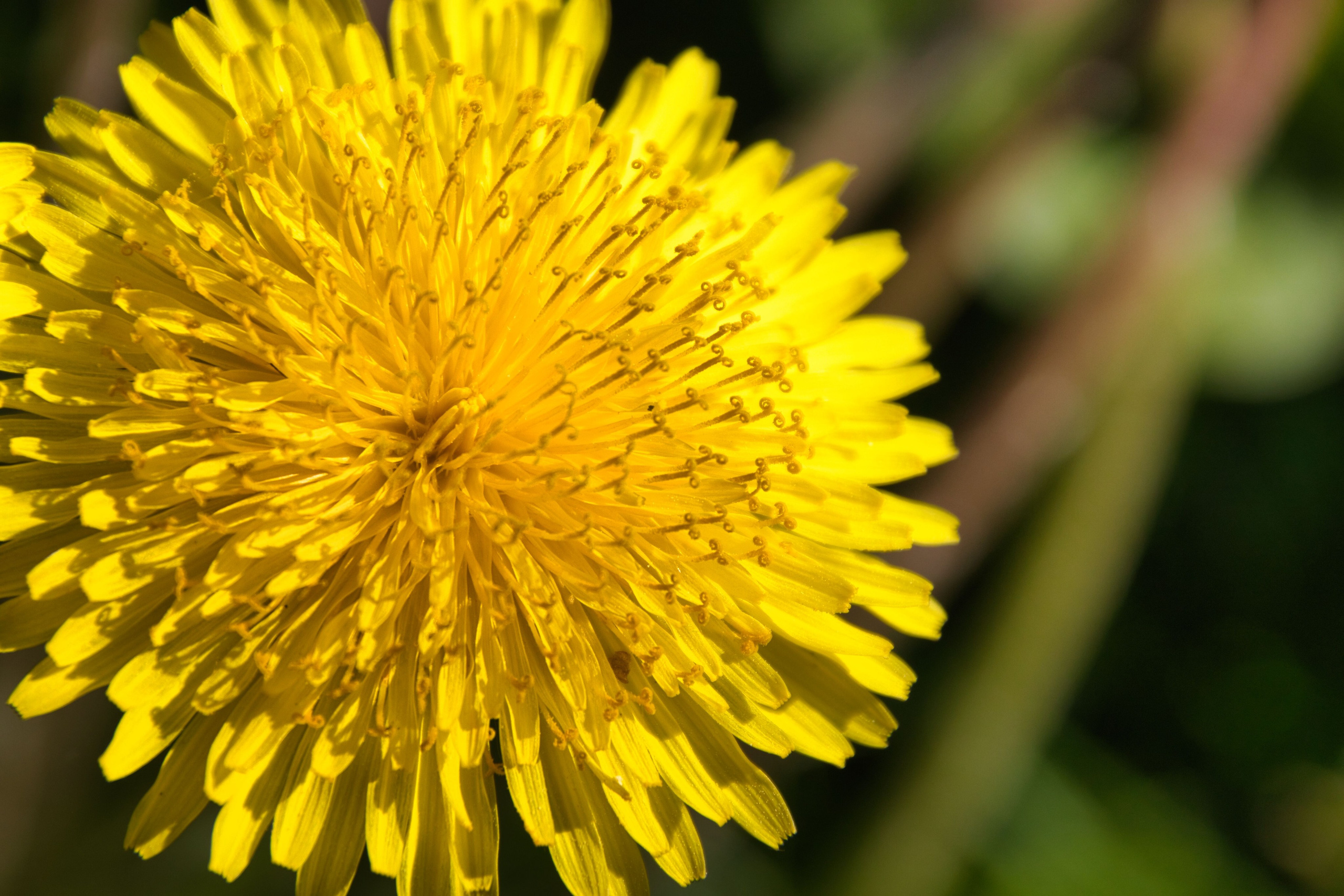 Фотограф в Санкт-Петербурге Георгий Елецких