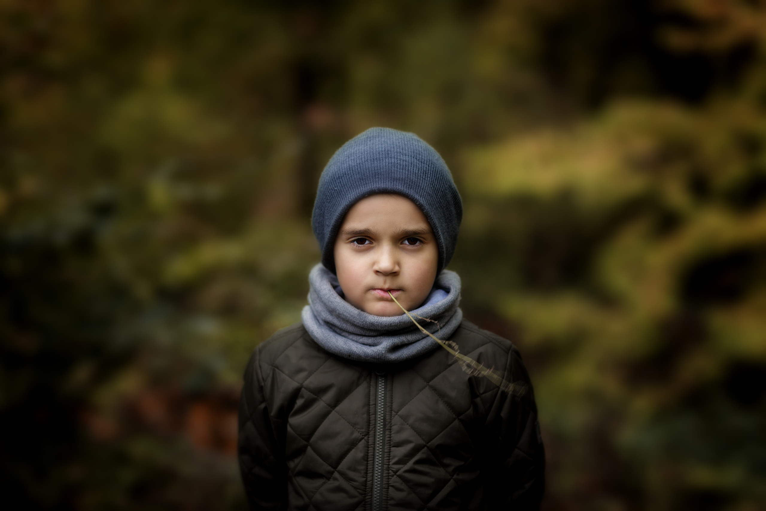 Цвета осени. Фотограф Денис Гавриленков в Москве