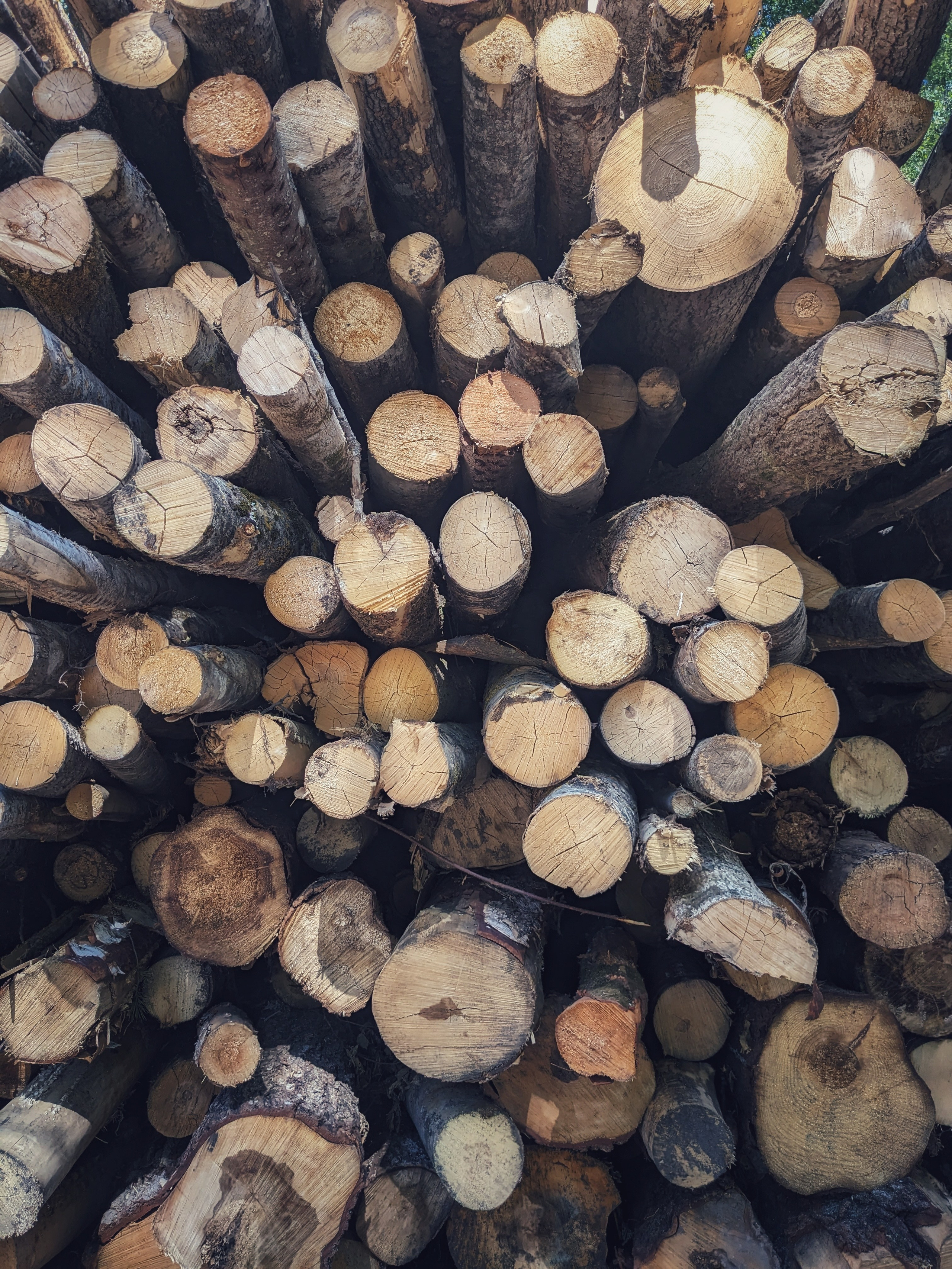 Атмосферная натурная фотография. Любовь Каширская — фотограф для малого бизнеса и специалистов