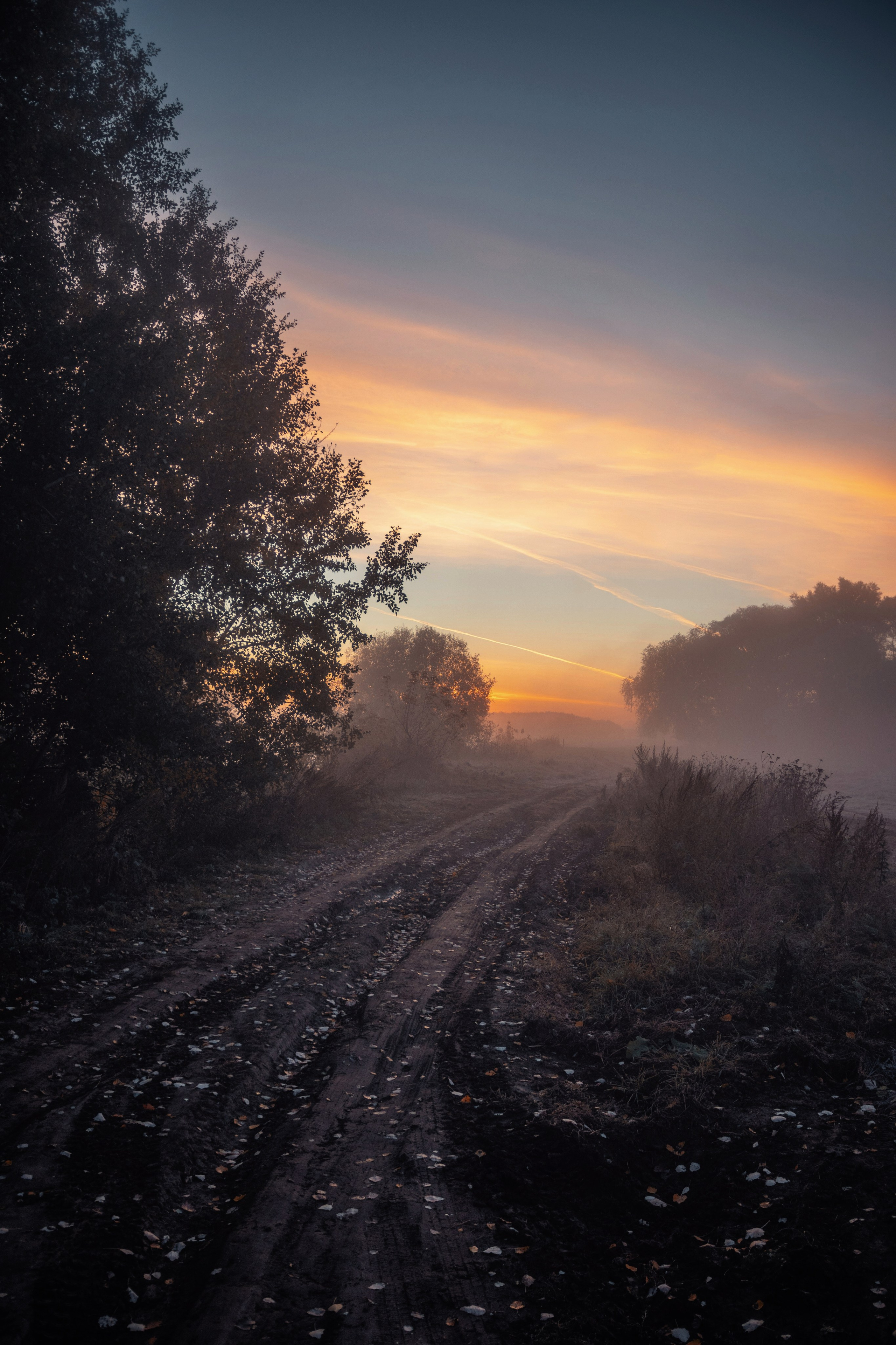 Волшебное утро в первый день октября. С любовью, фотохудожник