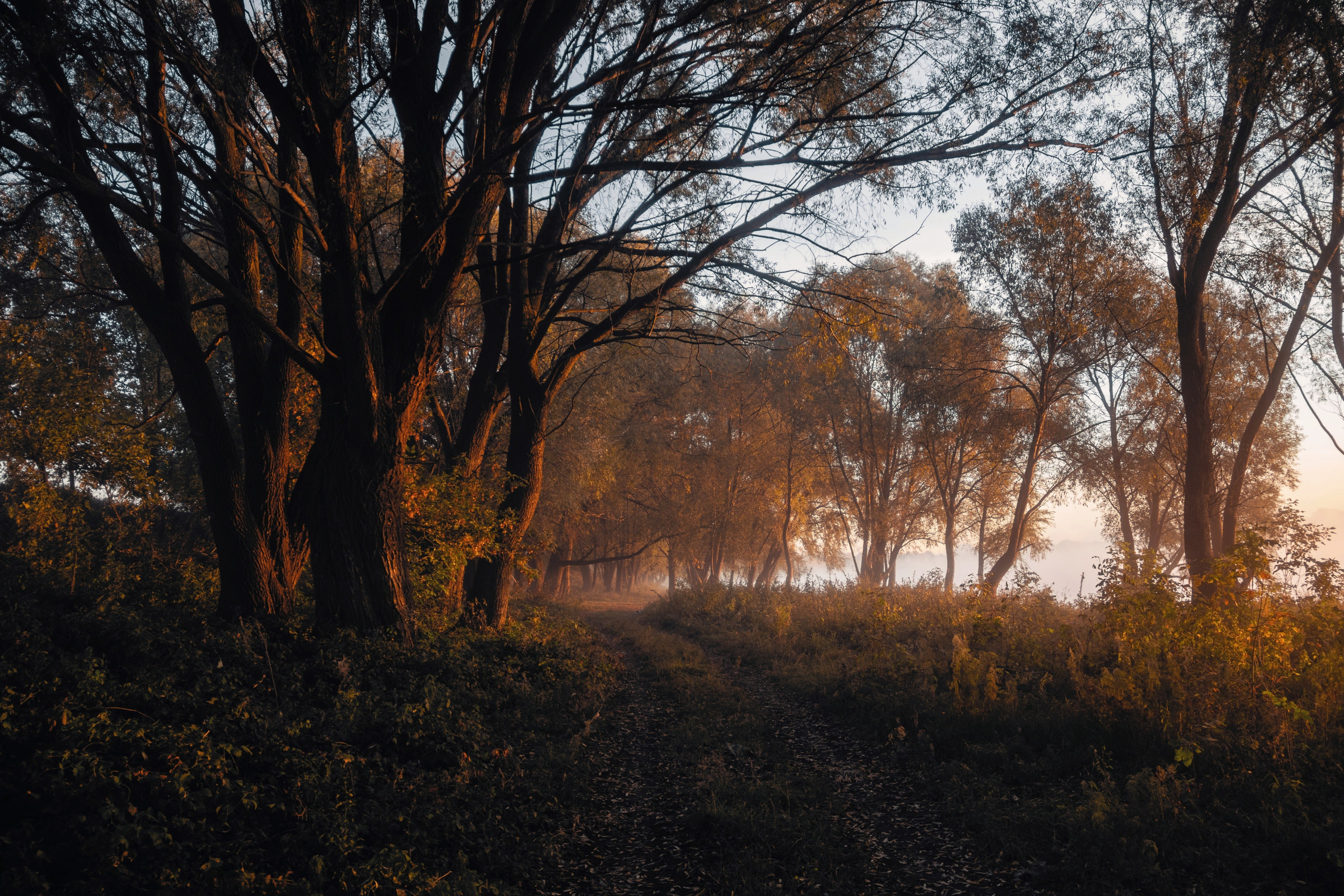 Волшебное утро в первый день октября. С любовью, фотохудожник
