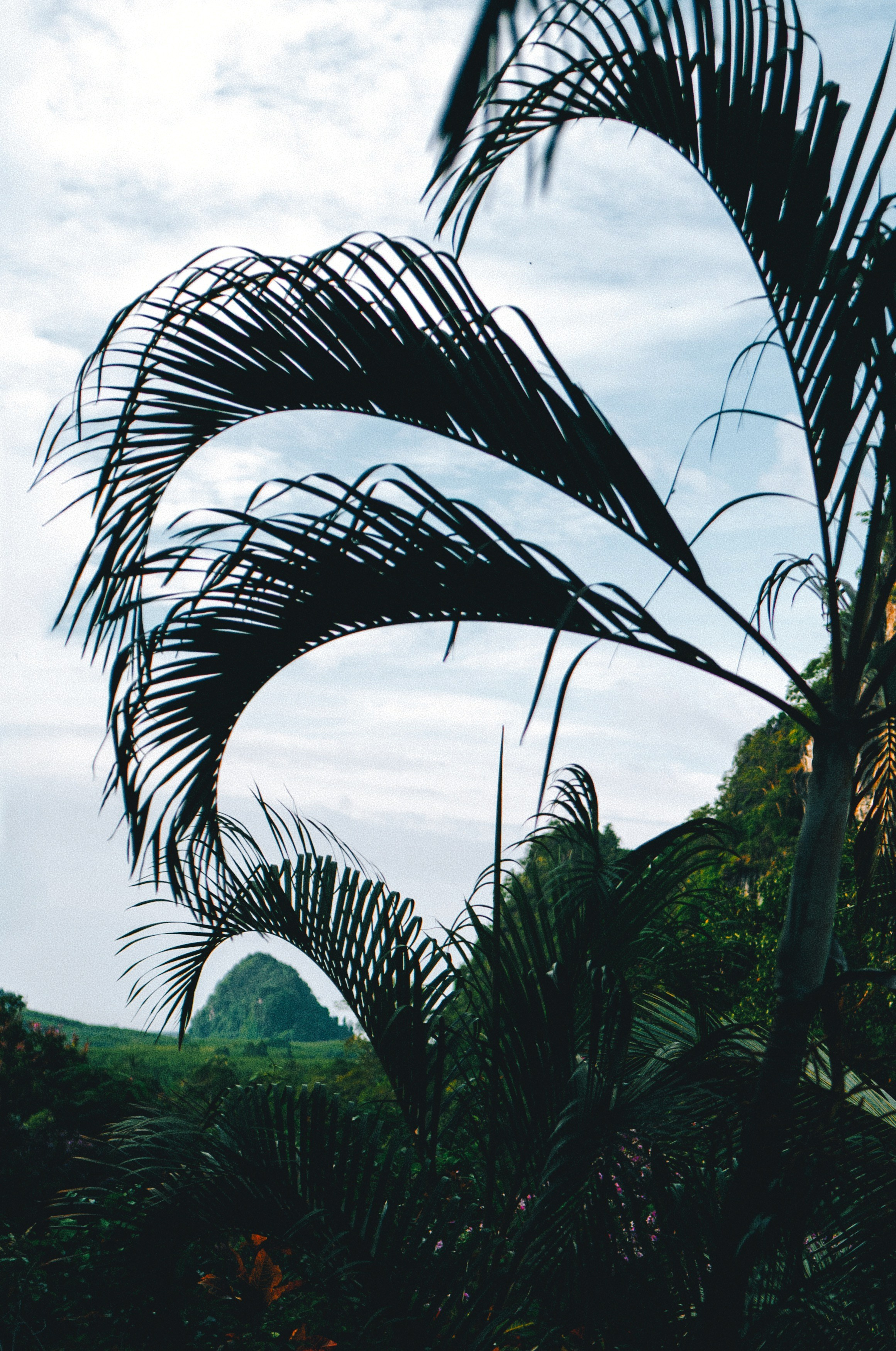 AUTHENTIC FILM. Visual artist Daniil Kontorovich