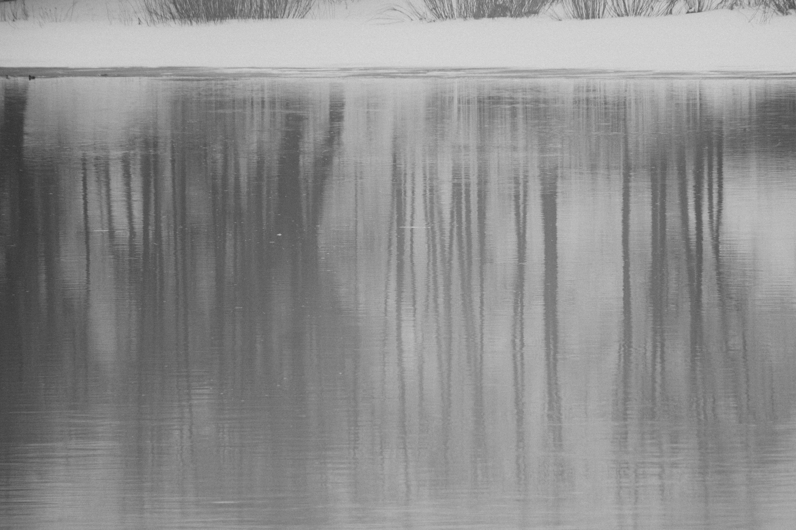 Великий Новгород моими глазами. Детский, семейный и ньюборн фотограф в Москве Юлия Шуарт