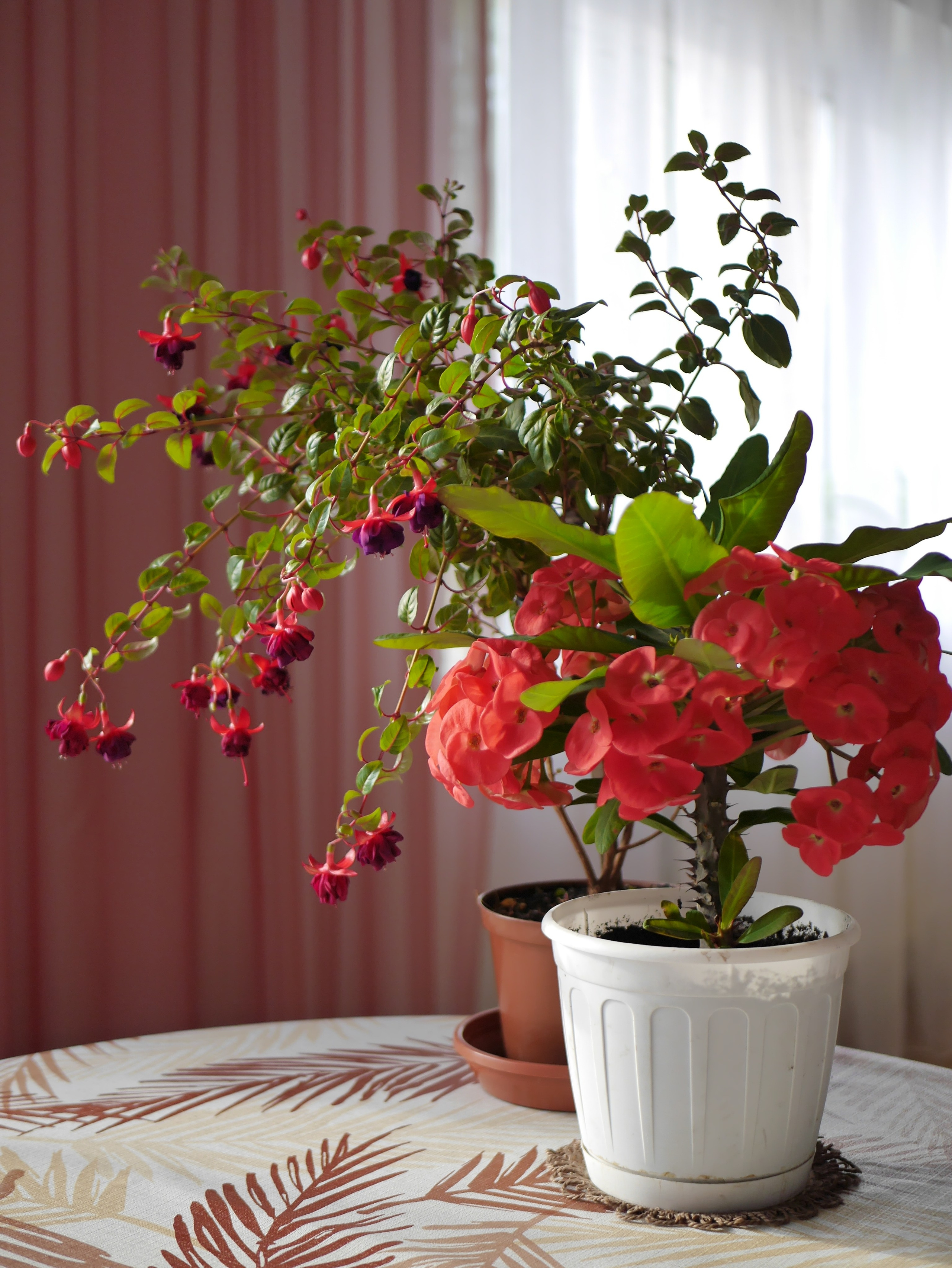 Вся красота мира в одной картинке