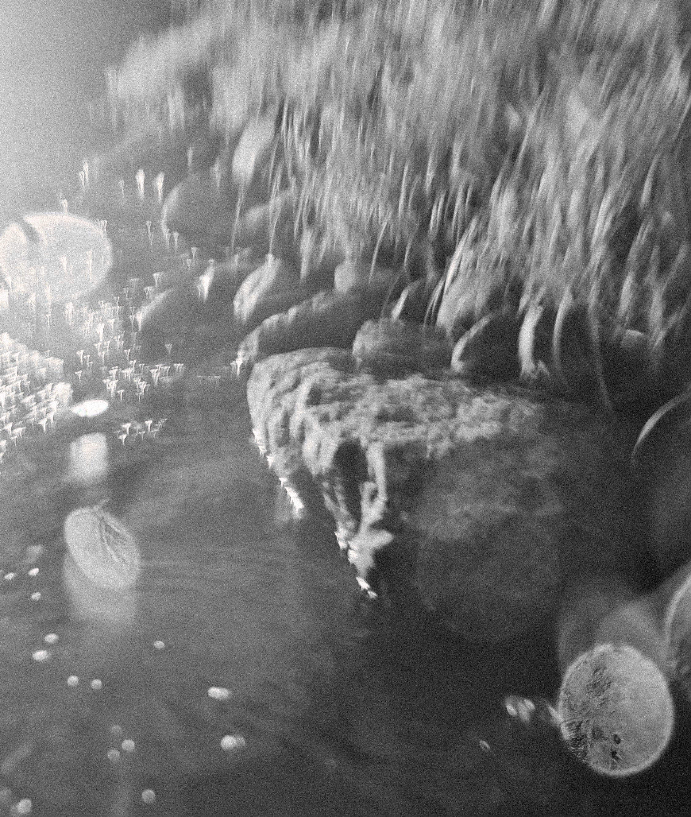 ФОТОГРАФИЯ. CONTEMPORARY ARTIST OLGA ANDRIYASH