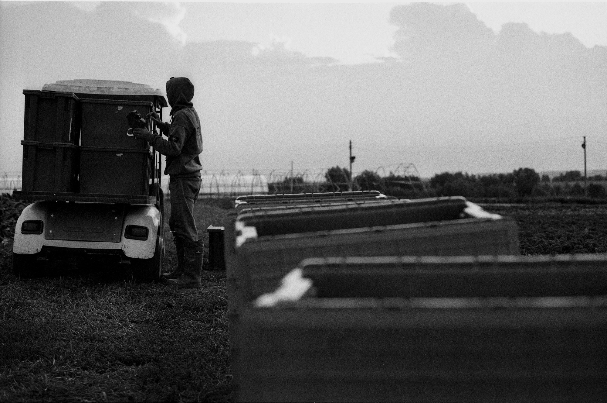 SuperFoodFarm. The history of the farm. Another person Pavel Potseluev. A photographer in 2025