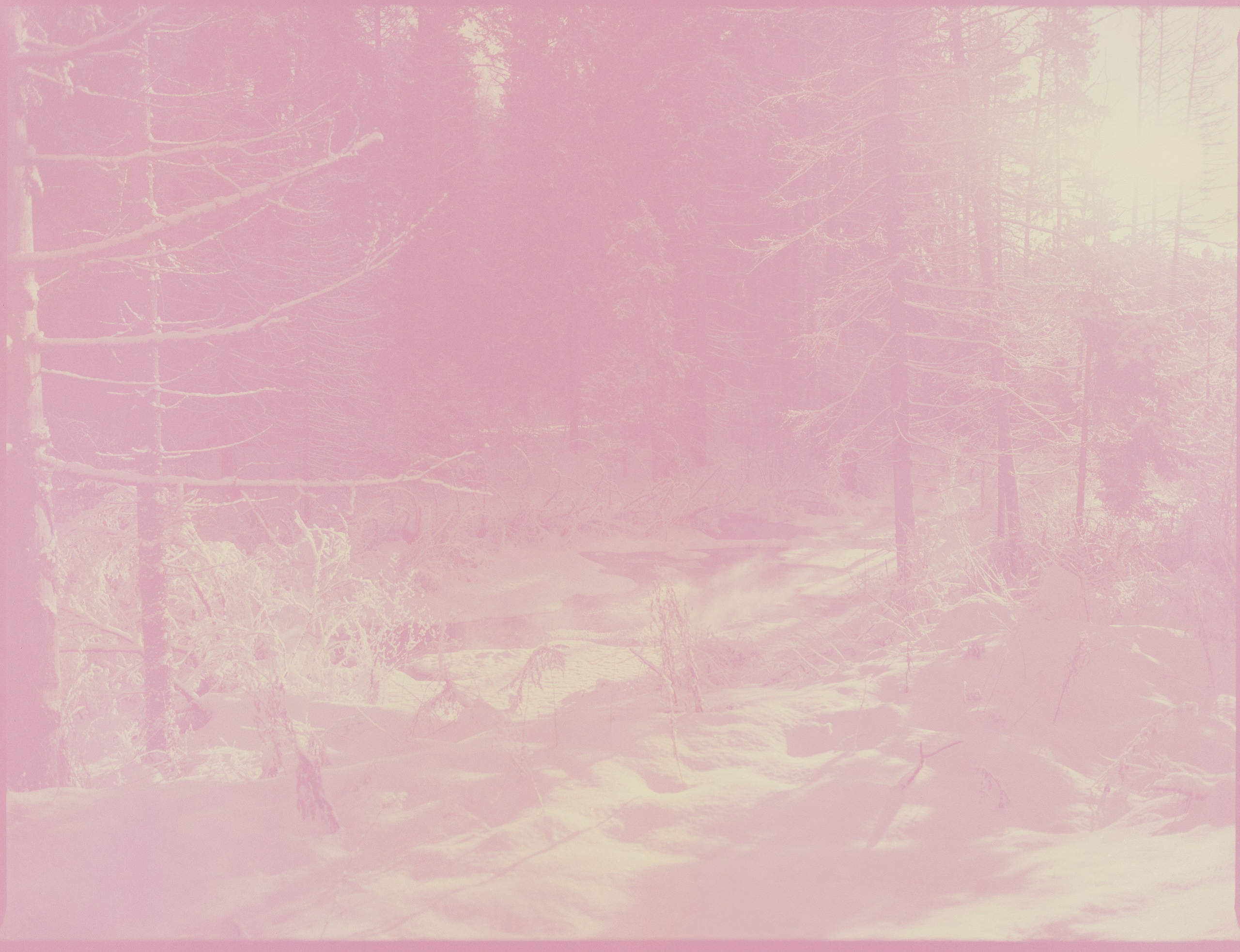 Mamiya 645 PRO — Mamiya-Sekor C 45 mm f/2.8