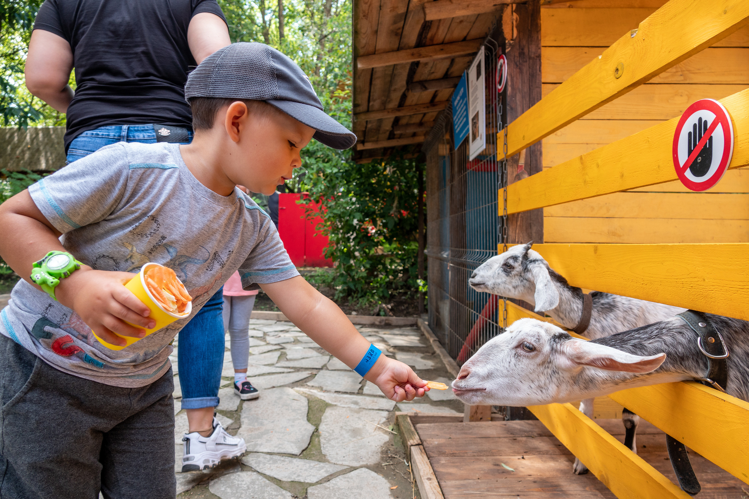 Миша в Сказке. Фотограф-анималист в Москве Юлия Лайхо