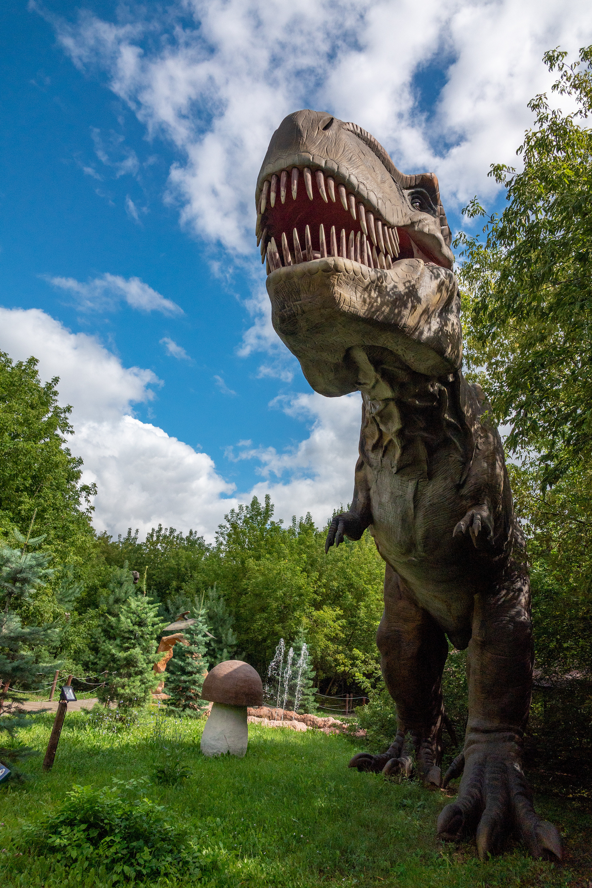 Миша в Сказке. Фотограф-анималист в Москве Юлия Лайхо
