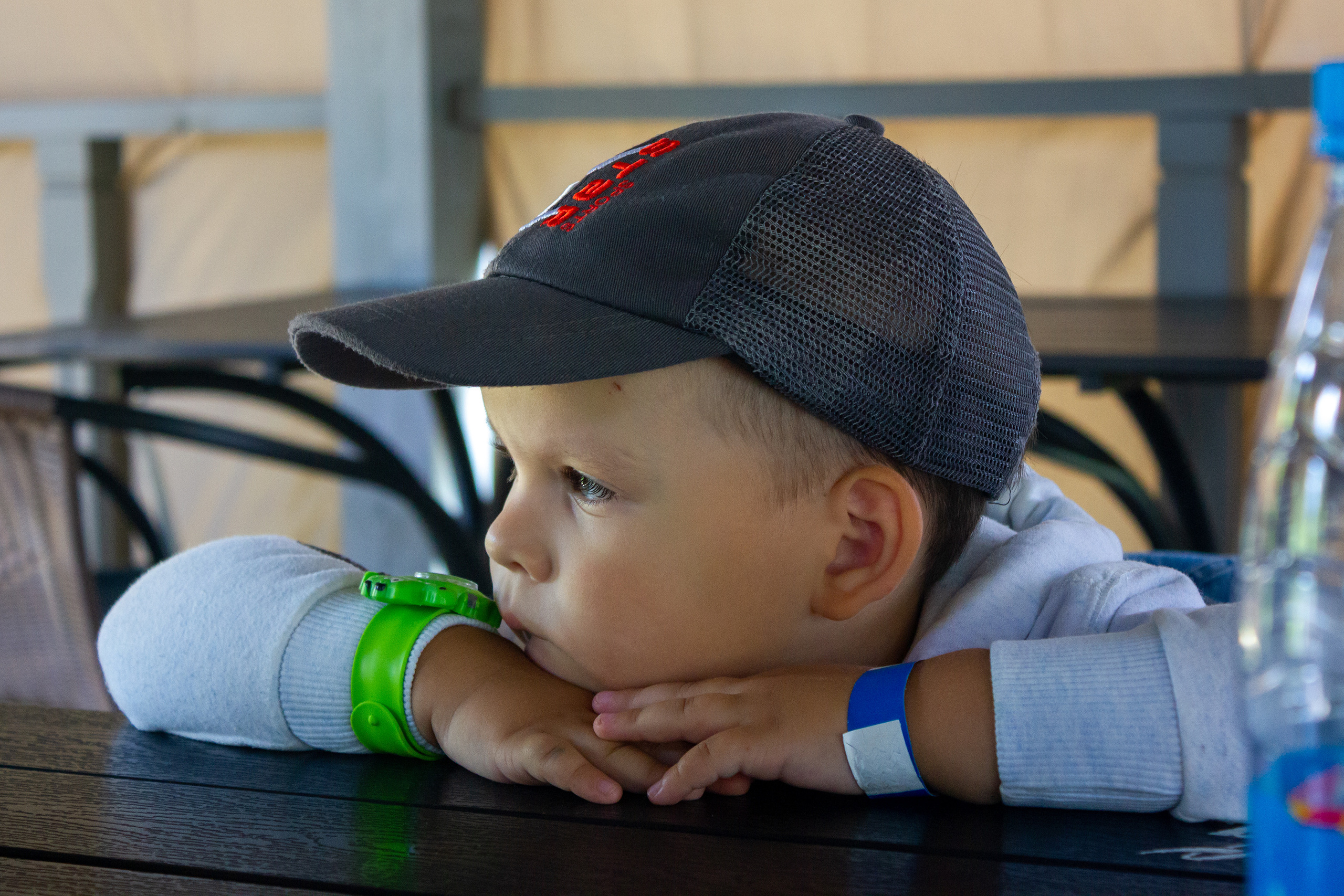 Миша в Сказке. Фотограф-анималист в Москве Юлия Лайхо