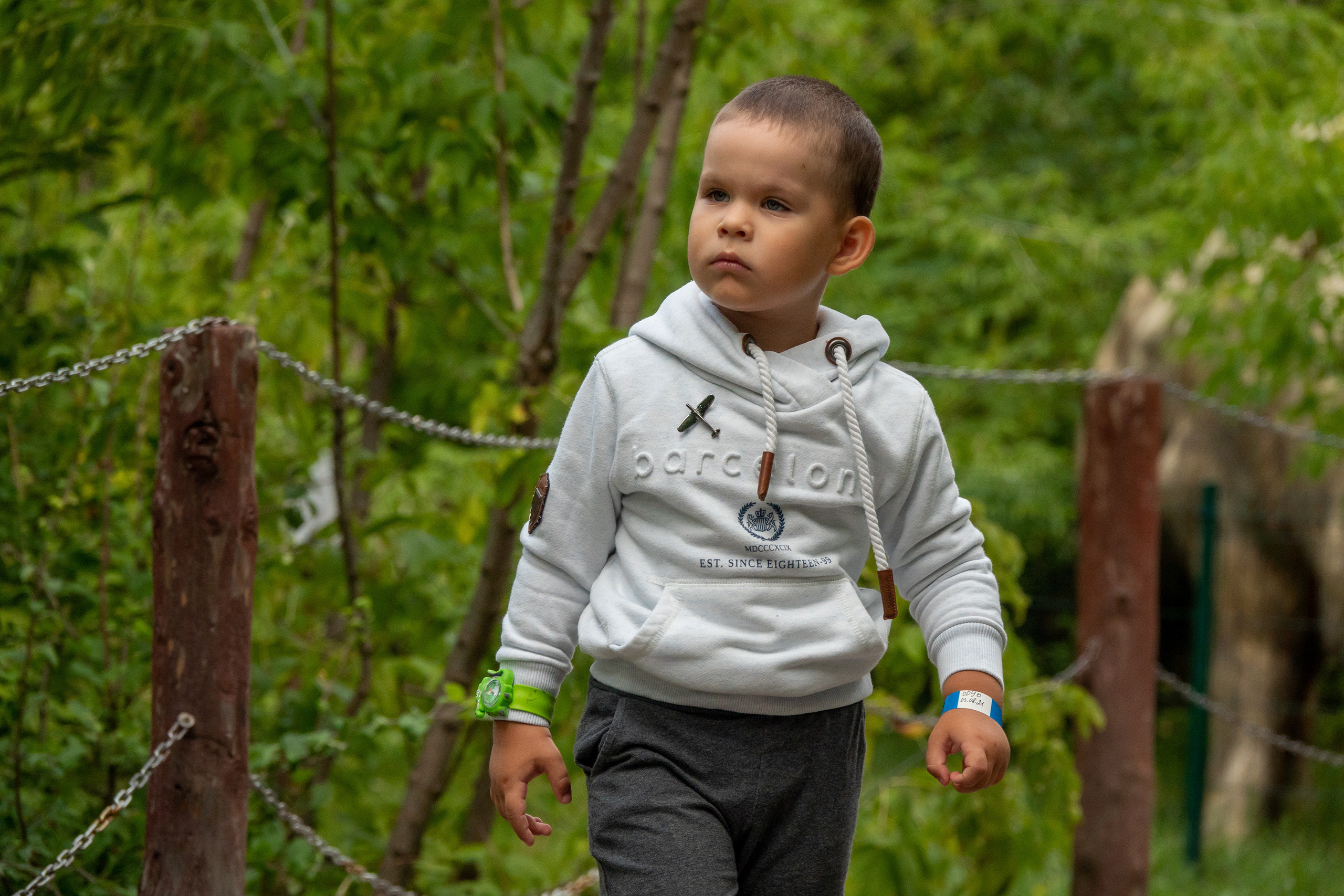 Миша в Сказке. Фотограф-анималист в Москве Юлия Лайхо