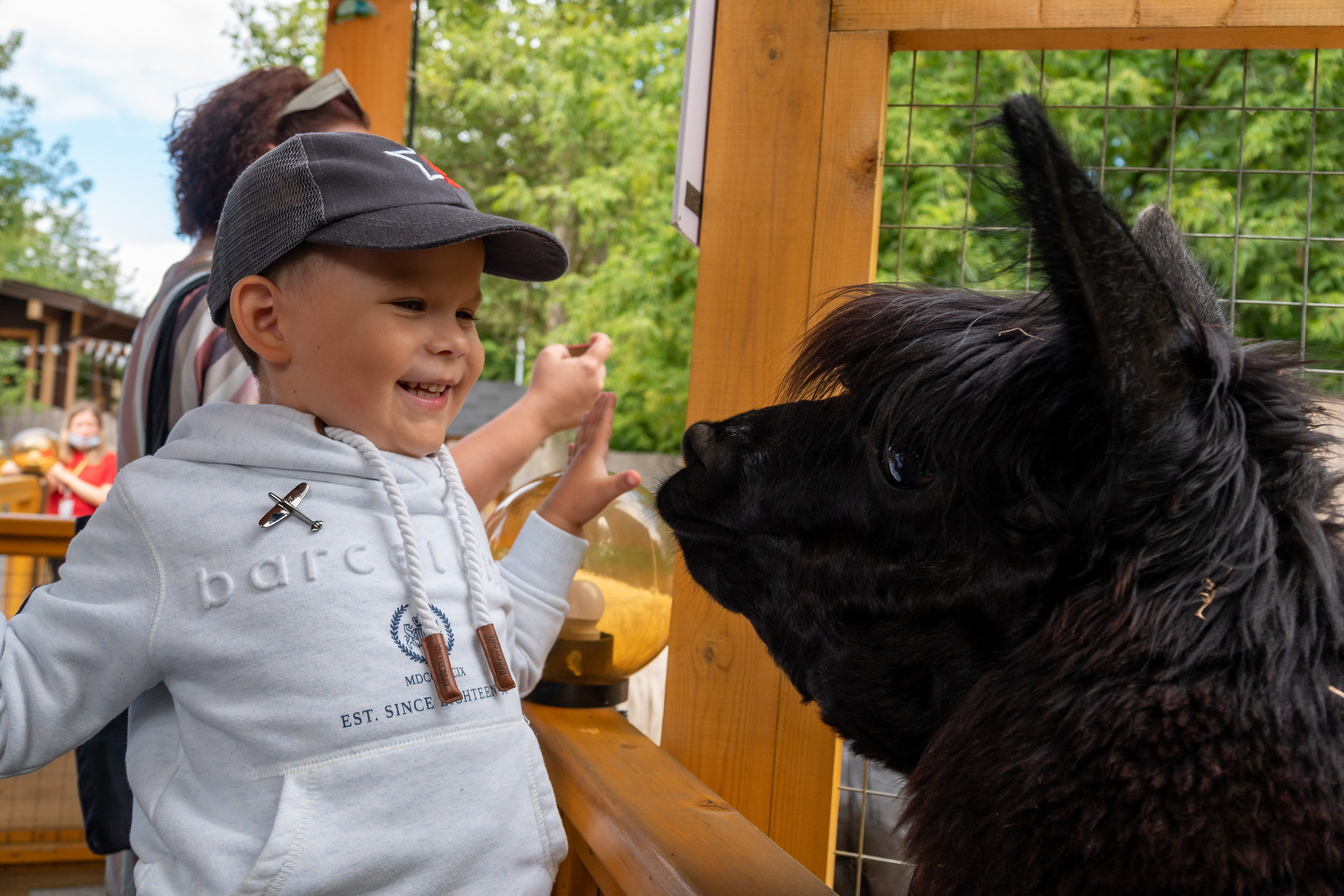 Миша в Сказке. Фотограф-анималист в Москве Юлия Лайхо