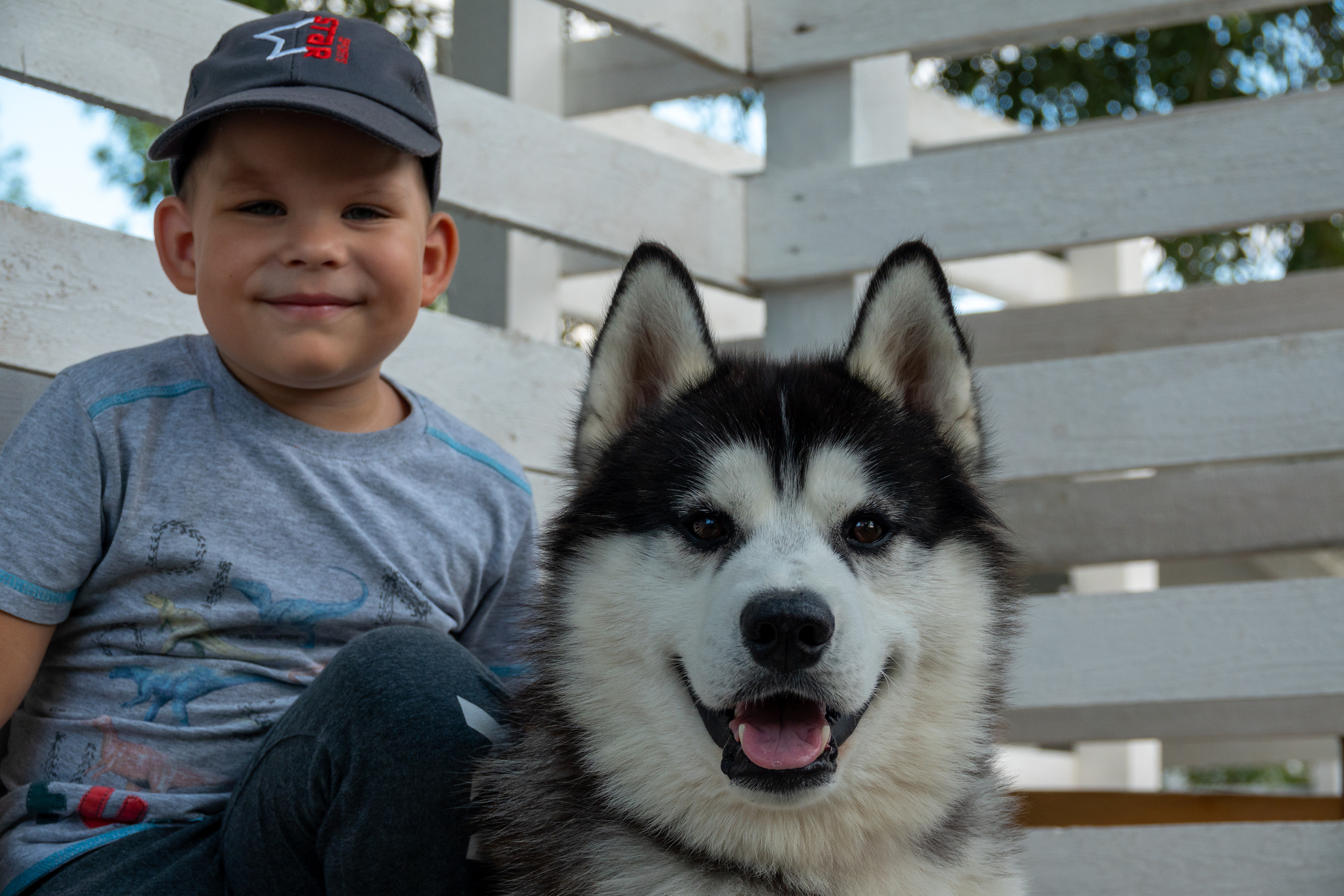 Миша в Сказке. Фотограф-анималист в Москве Юлия Лайхо
