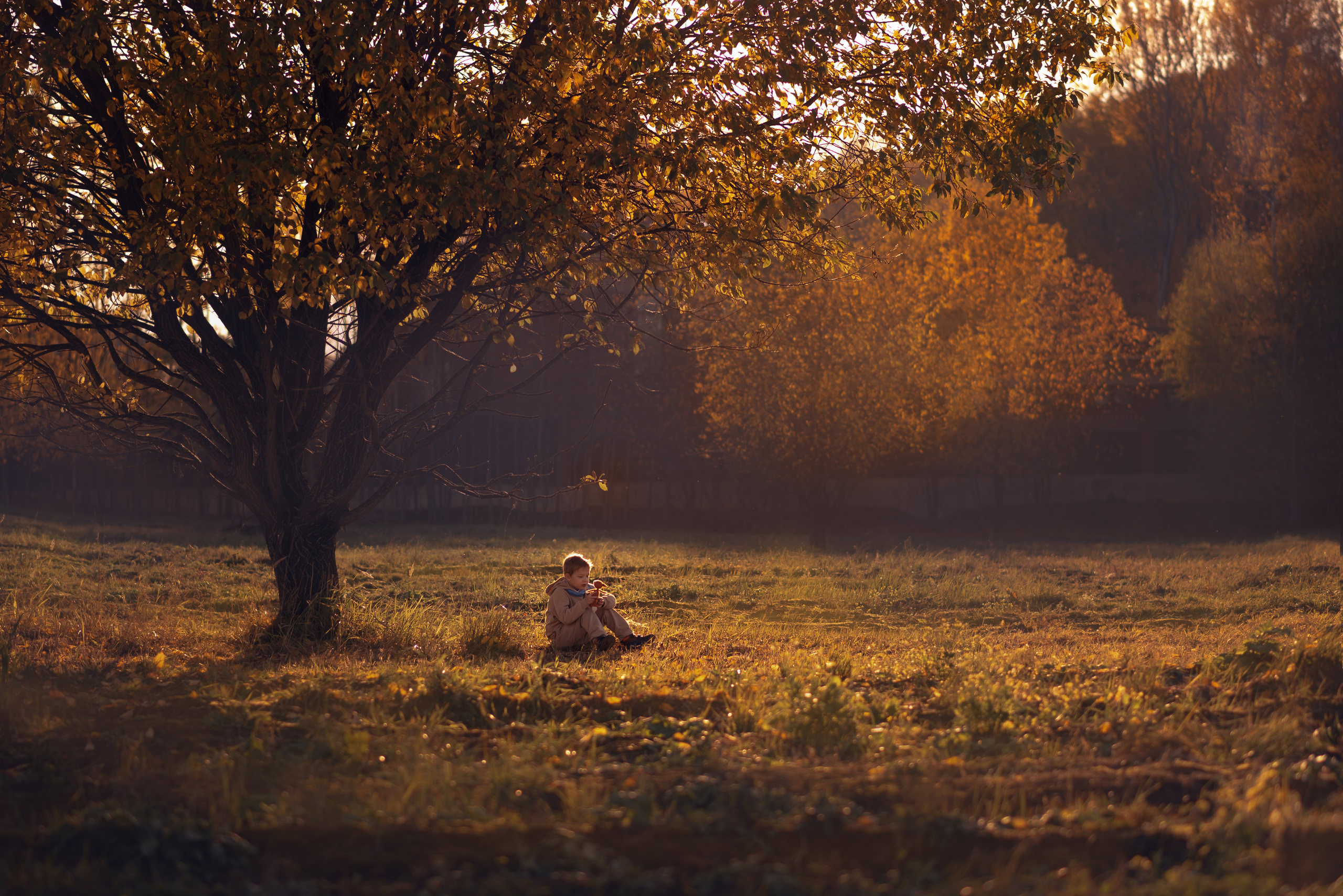 Мальчик и Лис. Душевная фотография от сердца к сердцу Марина Жиделева фотограф Москва