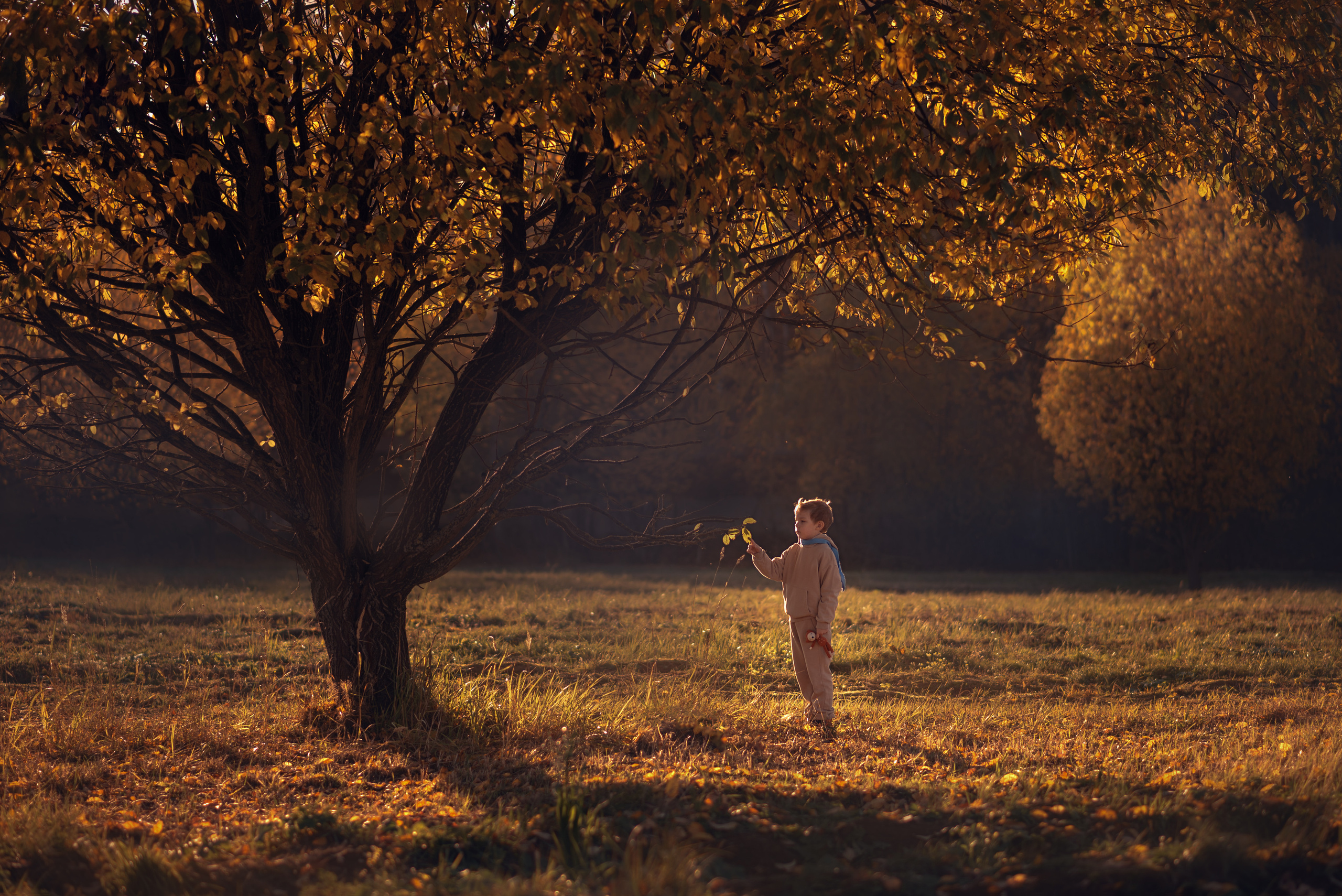Мальчик и Лис. Душевная фотография от сердца к сердцу Марина Жиделева фотограф Москва