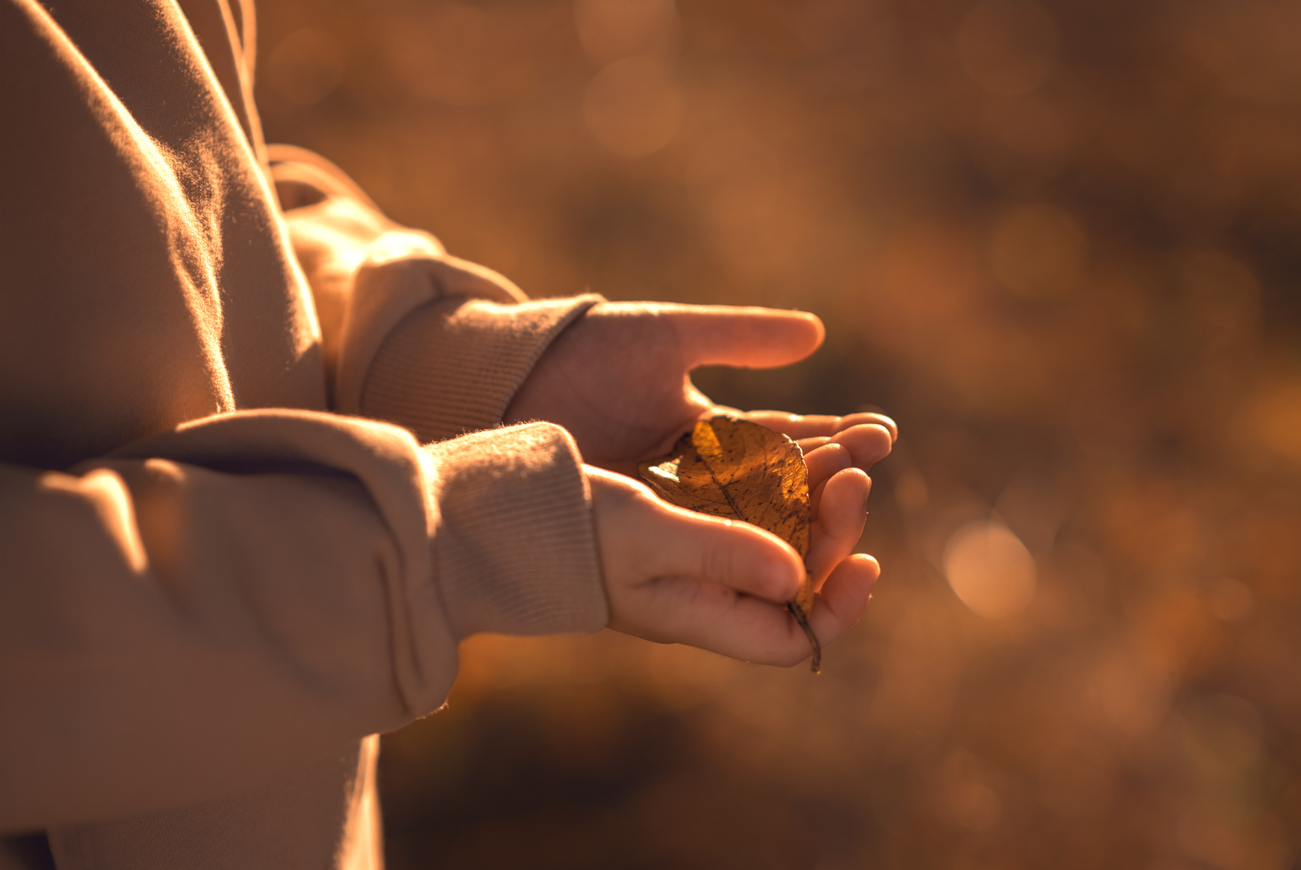 Мальчик и Лис. Душевная фотография от сердца к сердцу Марина Жиделева фотограф Москва
