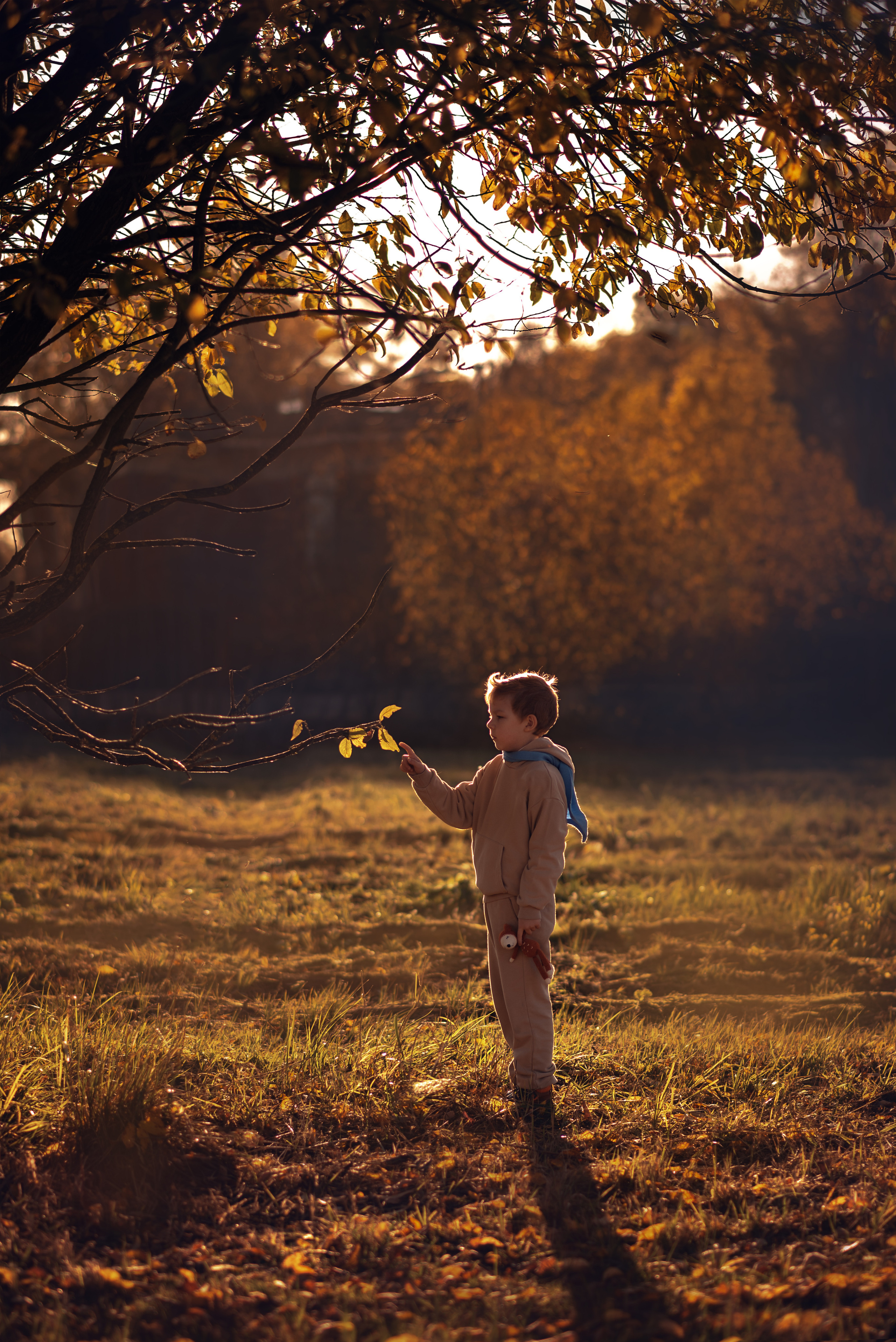 Мальчик и Лис. Душевная фотография от сердца к сердцу Марина Жиделева фотограф Москва