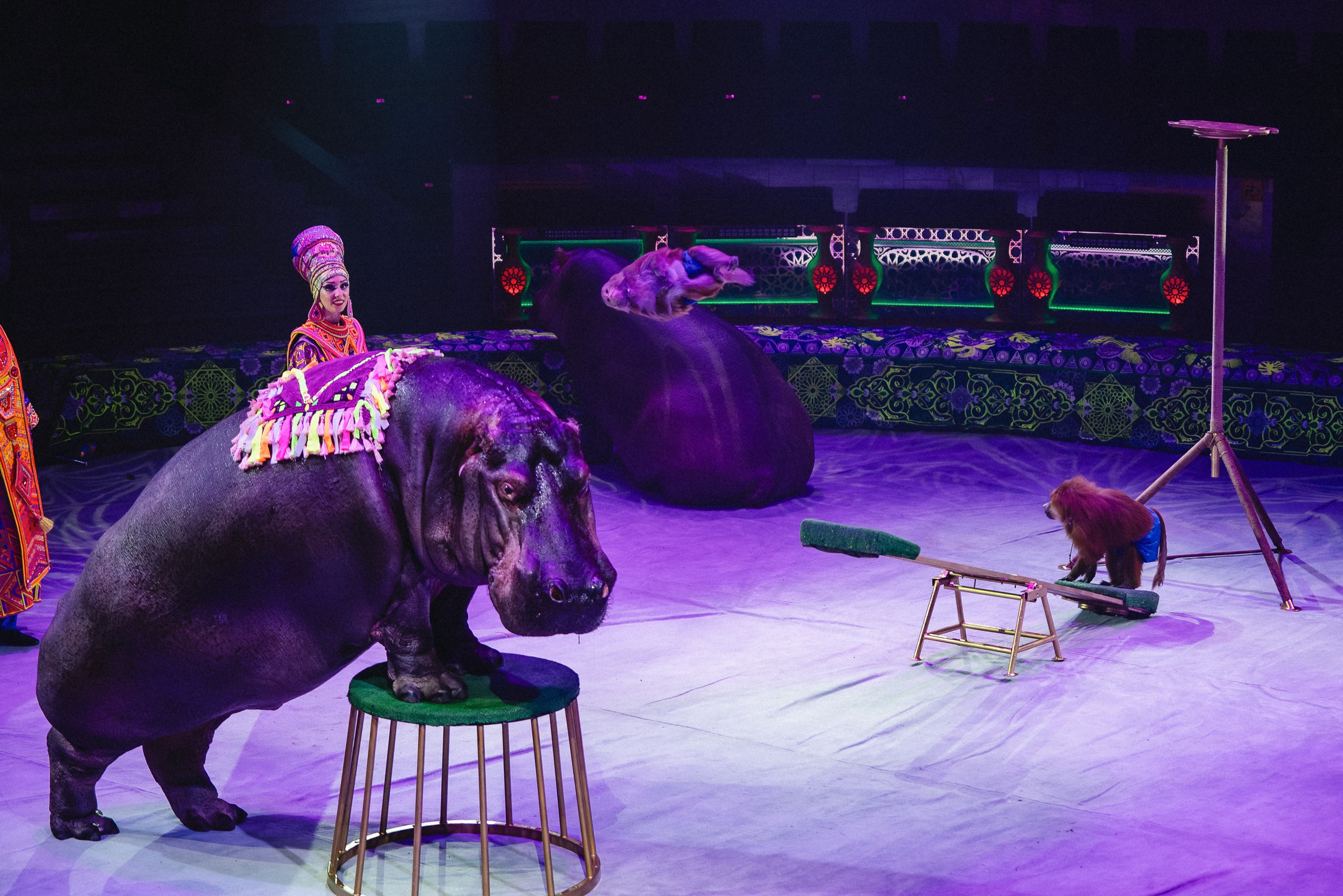 Пресс-показ шоу «Песчаная Сказка». Воробьева Ксения — Спортивный и танцевальный фотограф Новосибирск