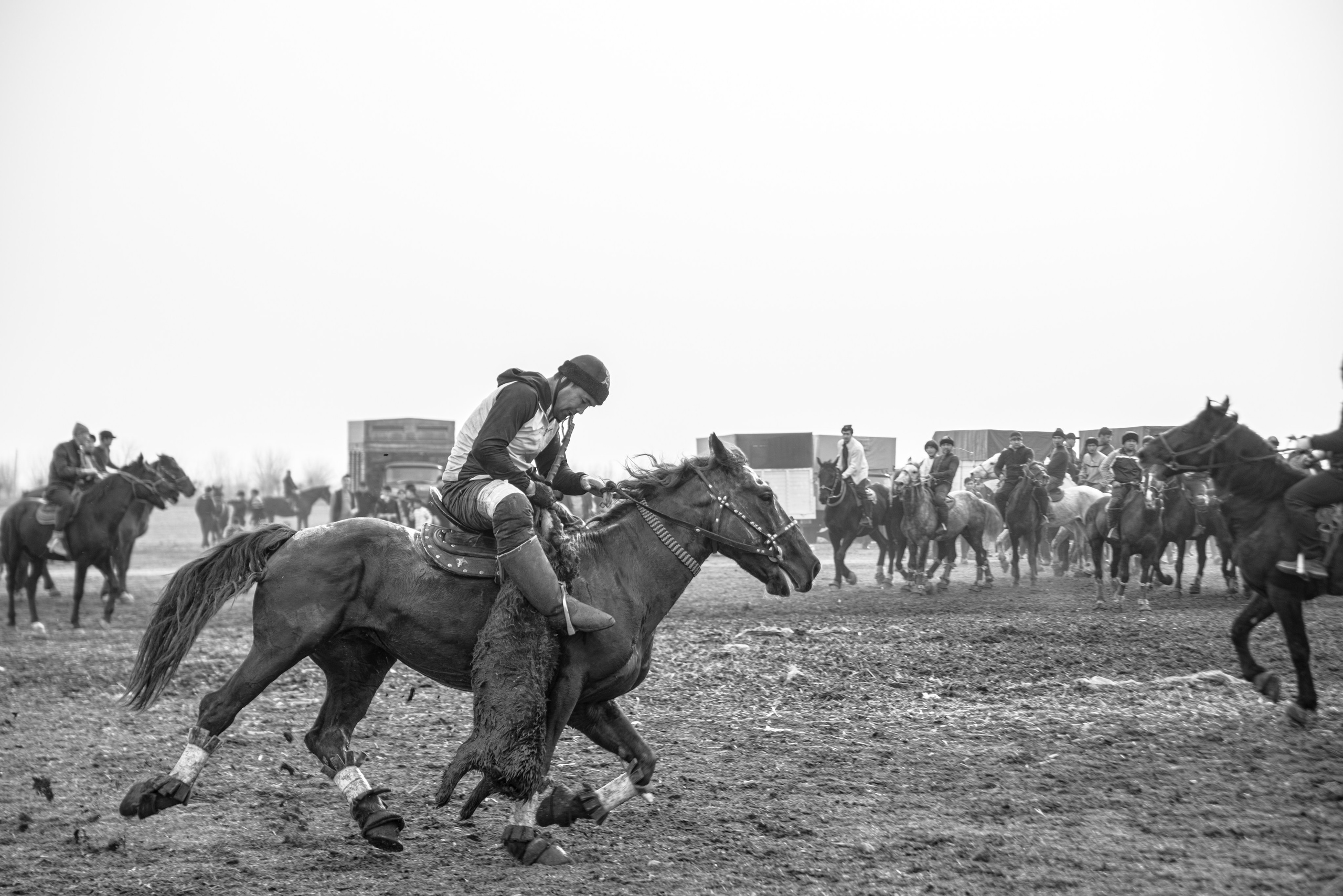 люди на лошадях