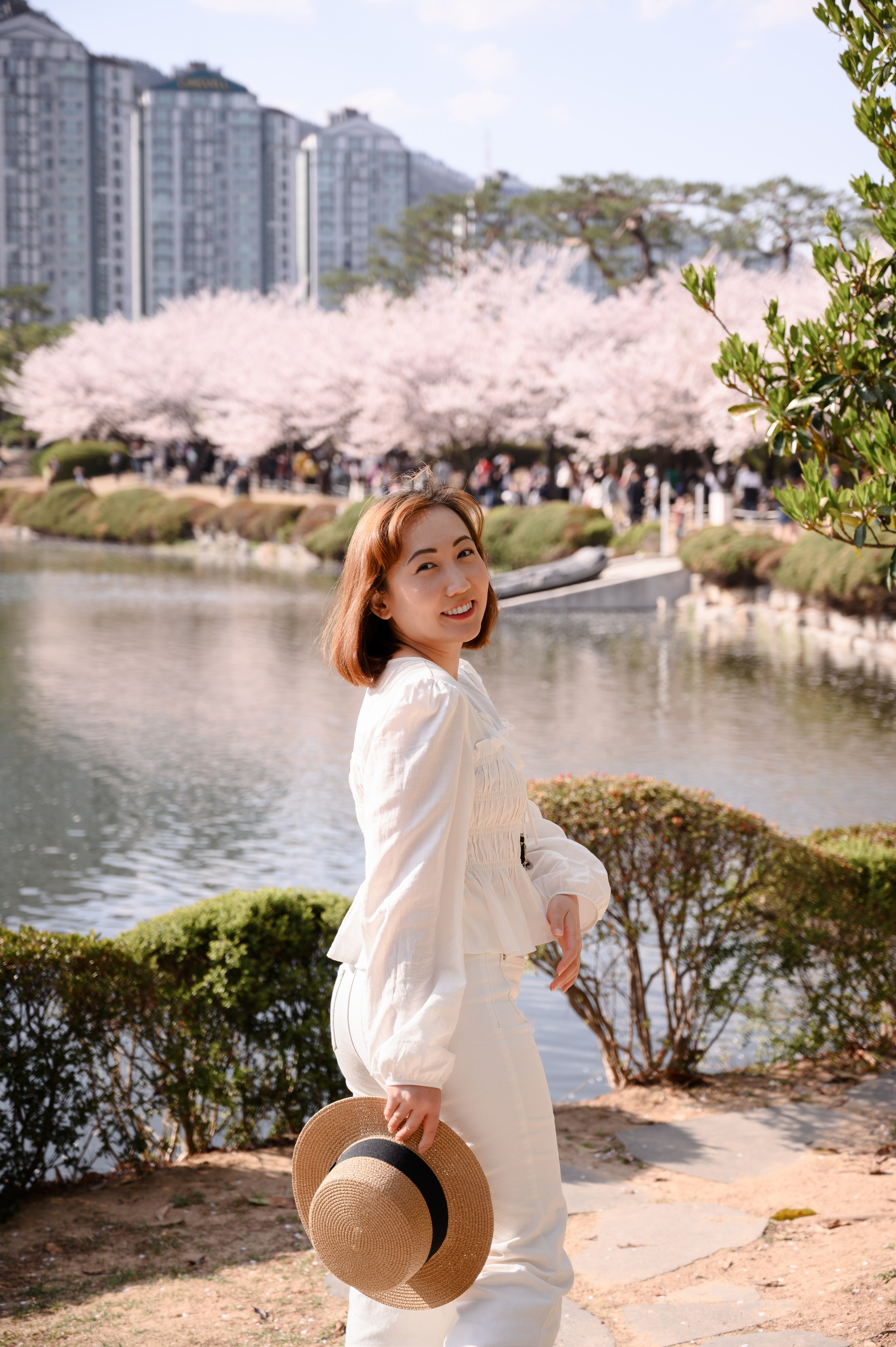 Cherry blossom tunnel photoshoot in Busan spring portrait
