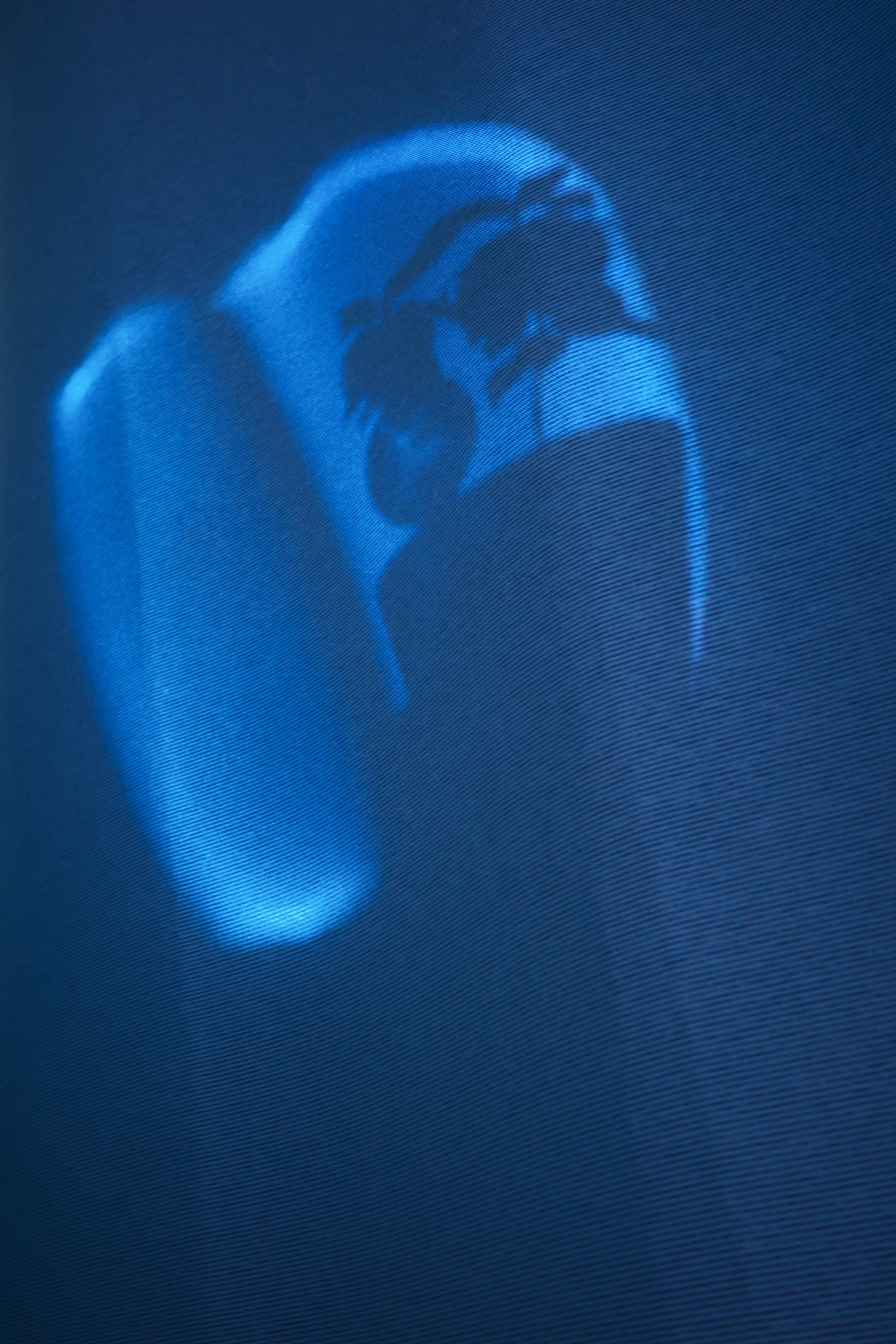 Тени весны 🪼. Миша Печёнкин | фотография