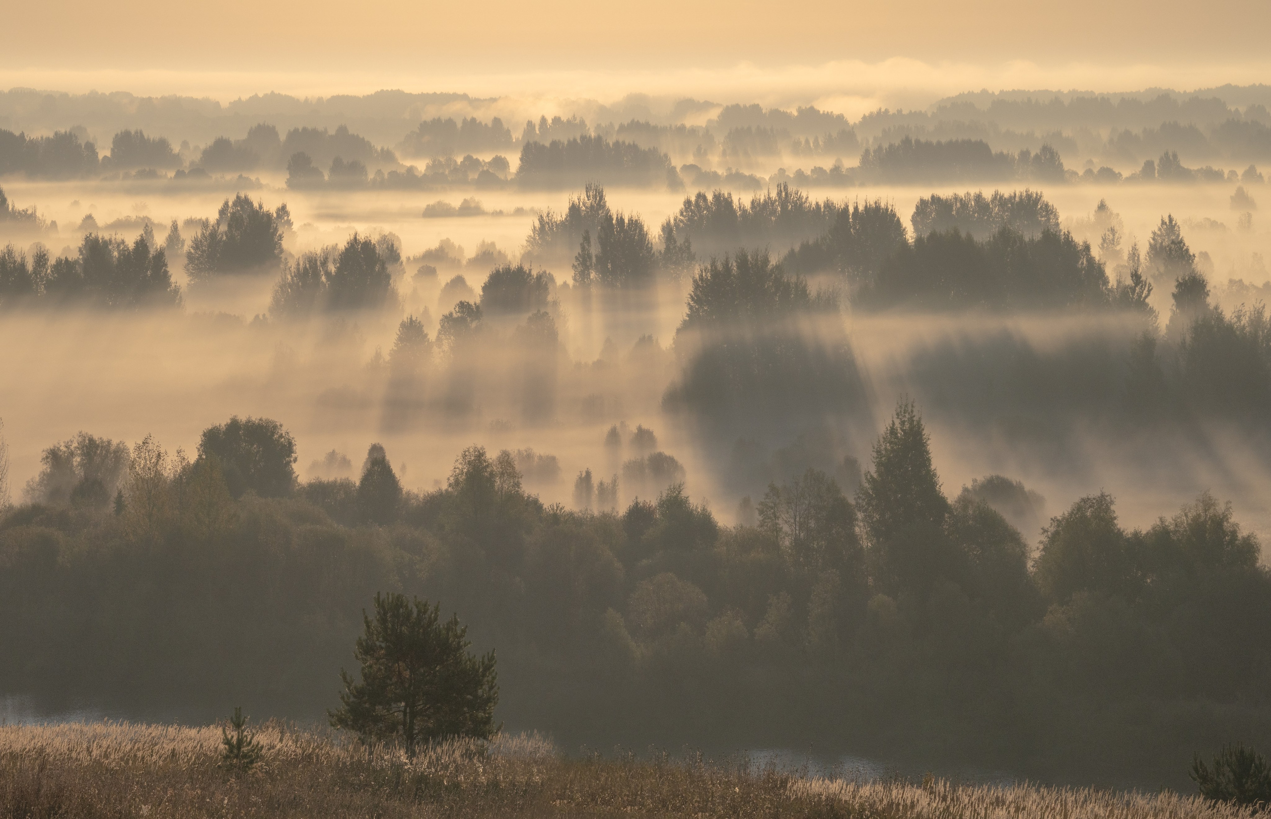Гид фотограф Карепанов Евгений