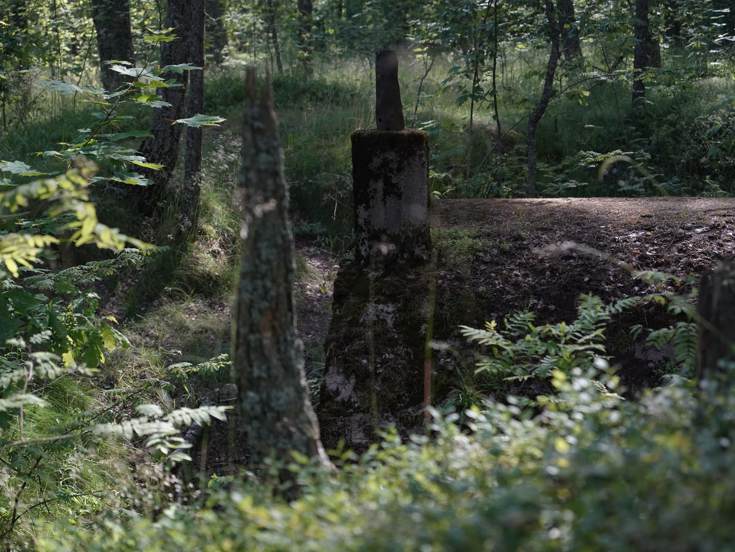 Смерть-гора (2025 — наст.вр). Главная