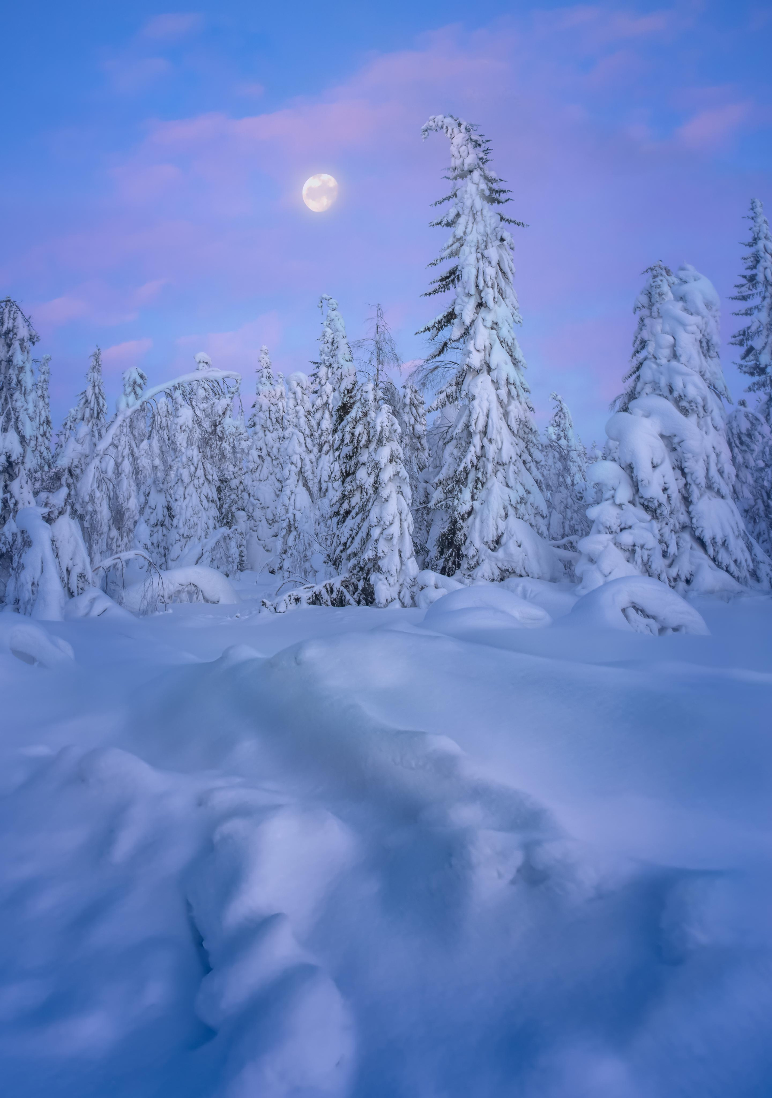 Main. Svetlana Korneliuk, photographer in Yekaterinburg