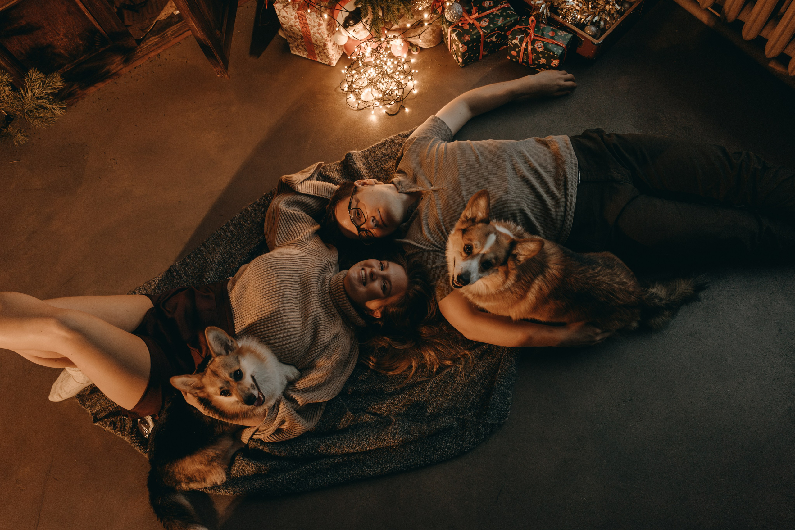 Новогодние фотостудии. Фотограф — Анималист | Санкт-Петербург