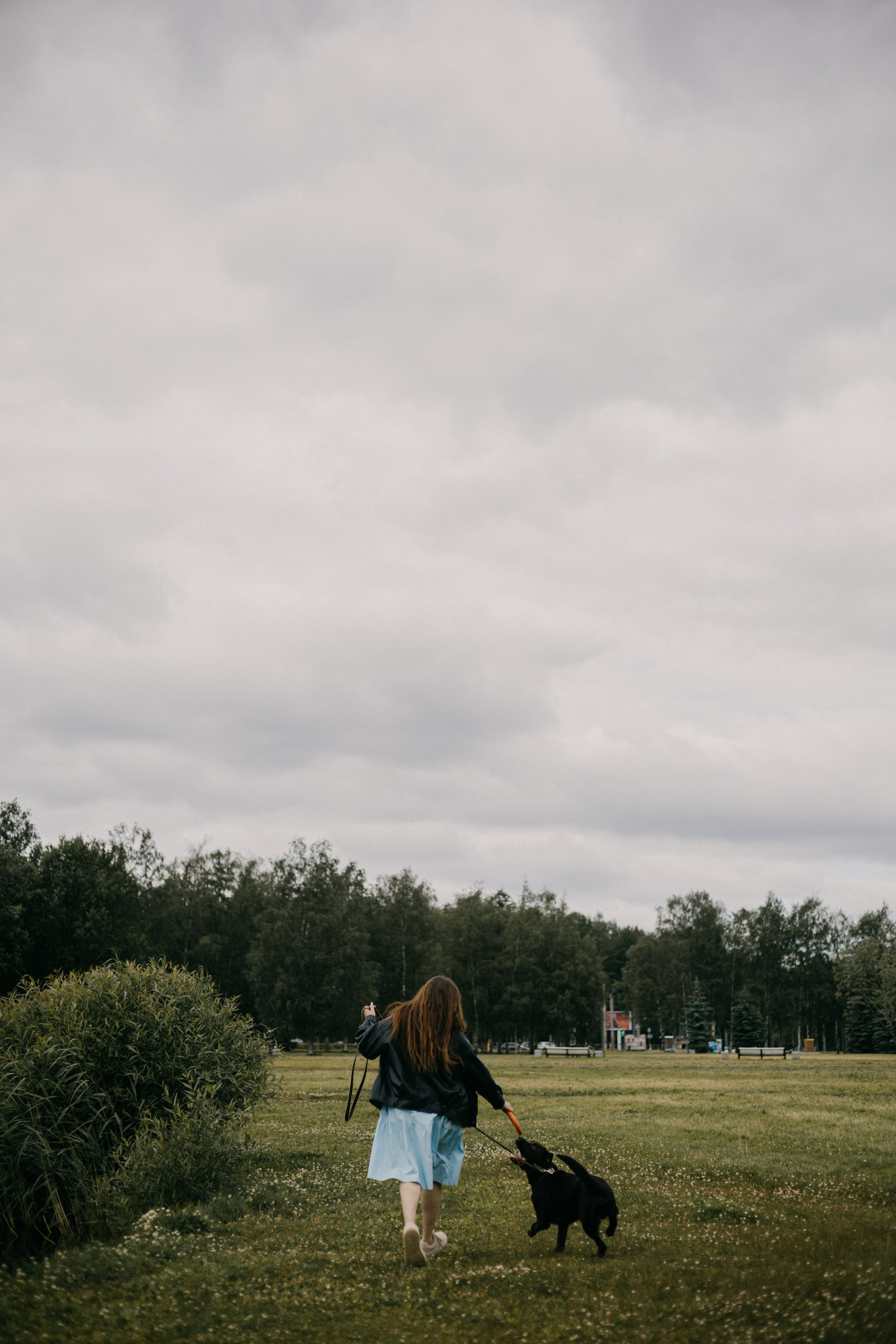 Оля и её шоколадный Тимофей. Фотограф — анималист •love-story•|Санкт-Петербург