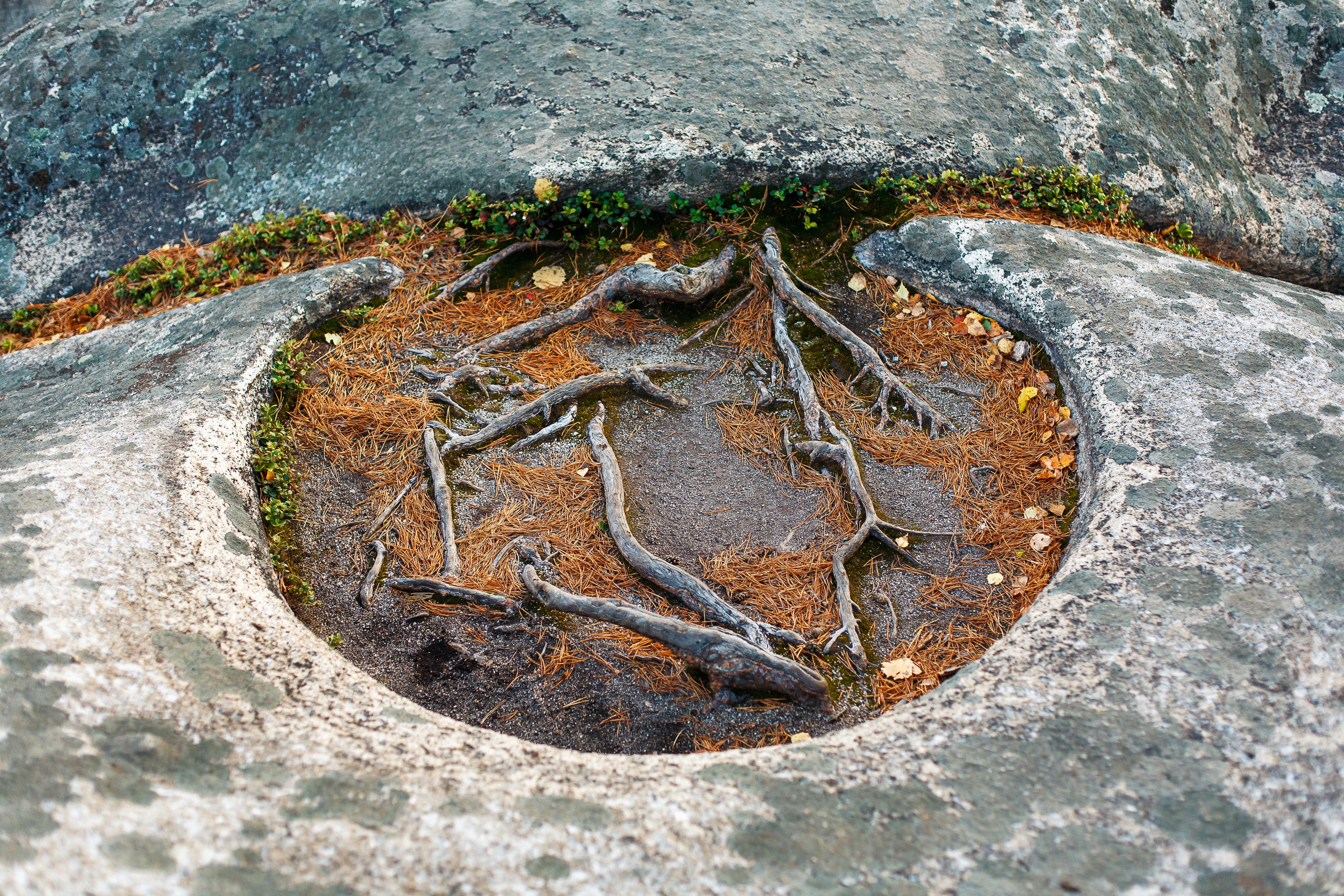 Фотопоход на Шихан «Клопы и Шарлотка!». Фотограф Челябинск · Ольга Серебрякова